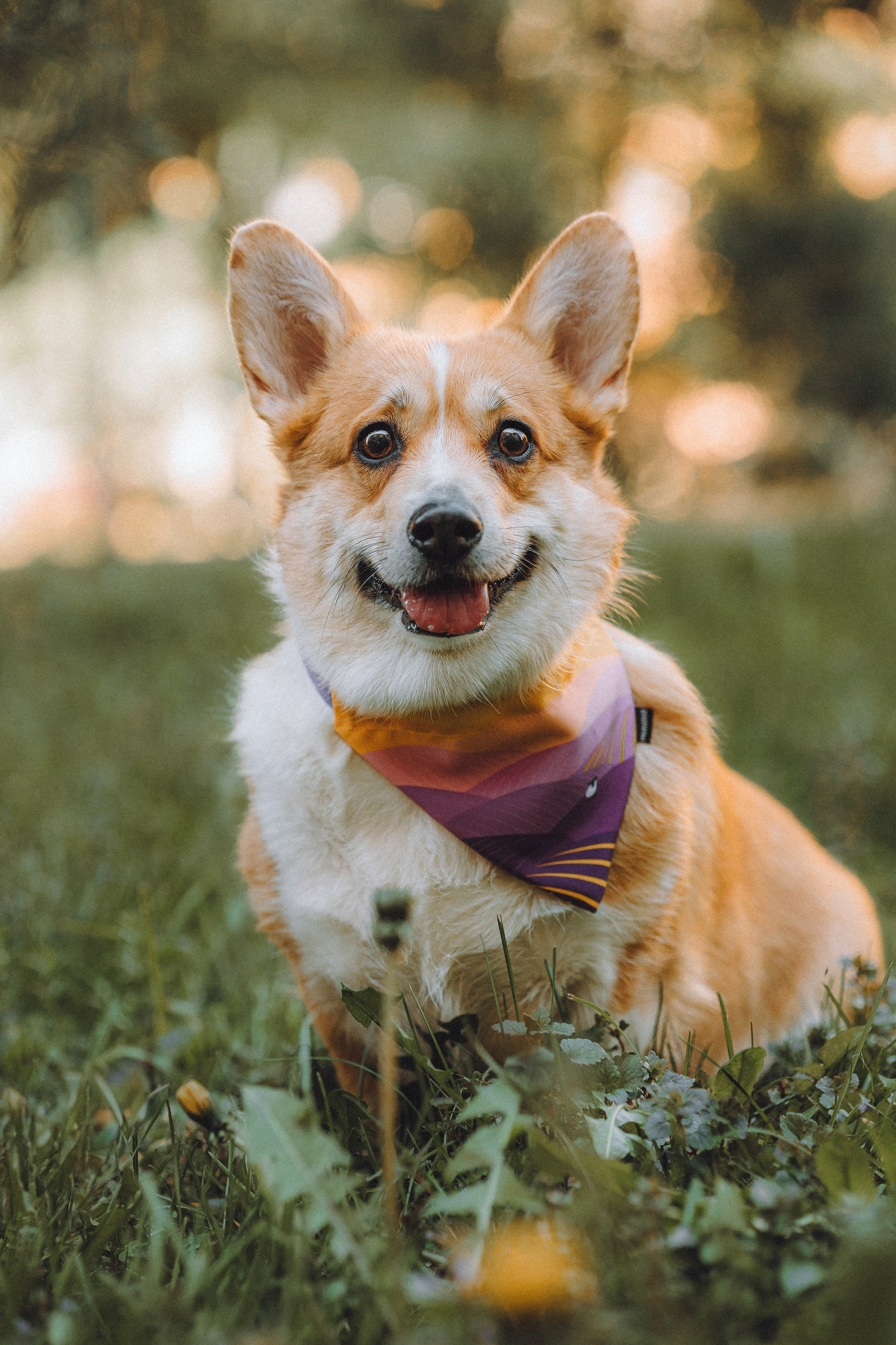 Вика и Мейзи