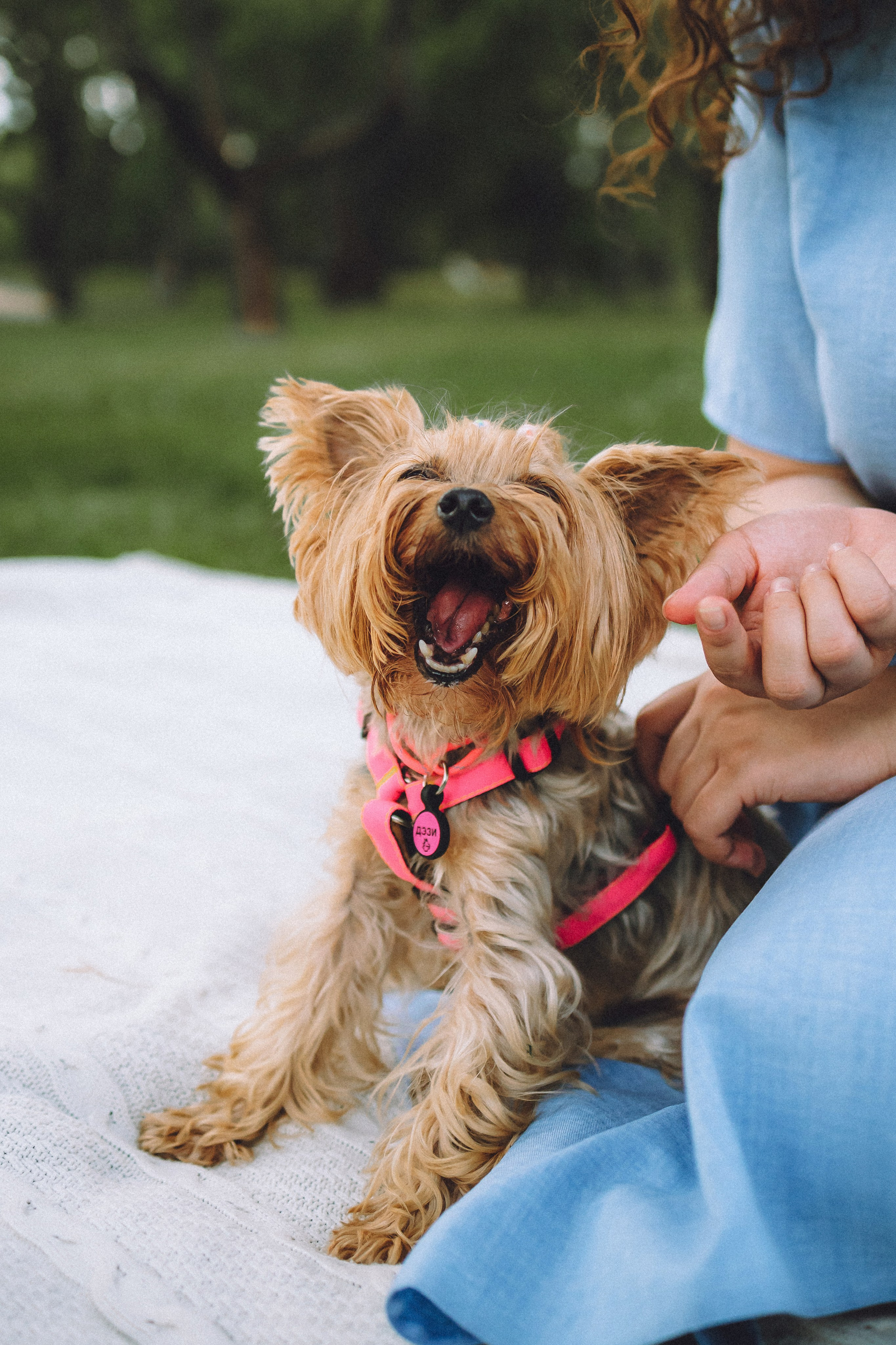 Даша и Дэзи