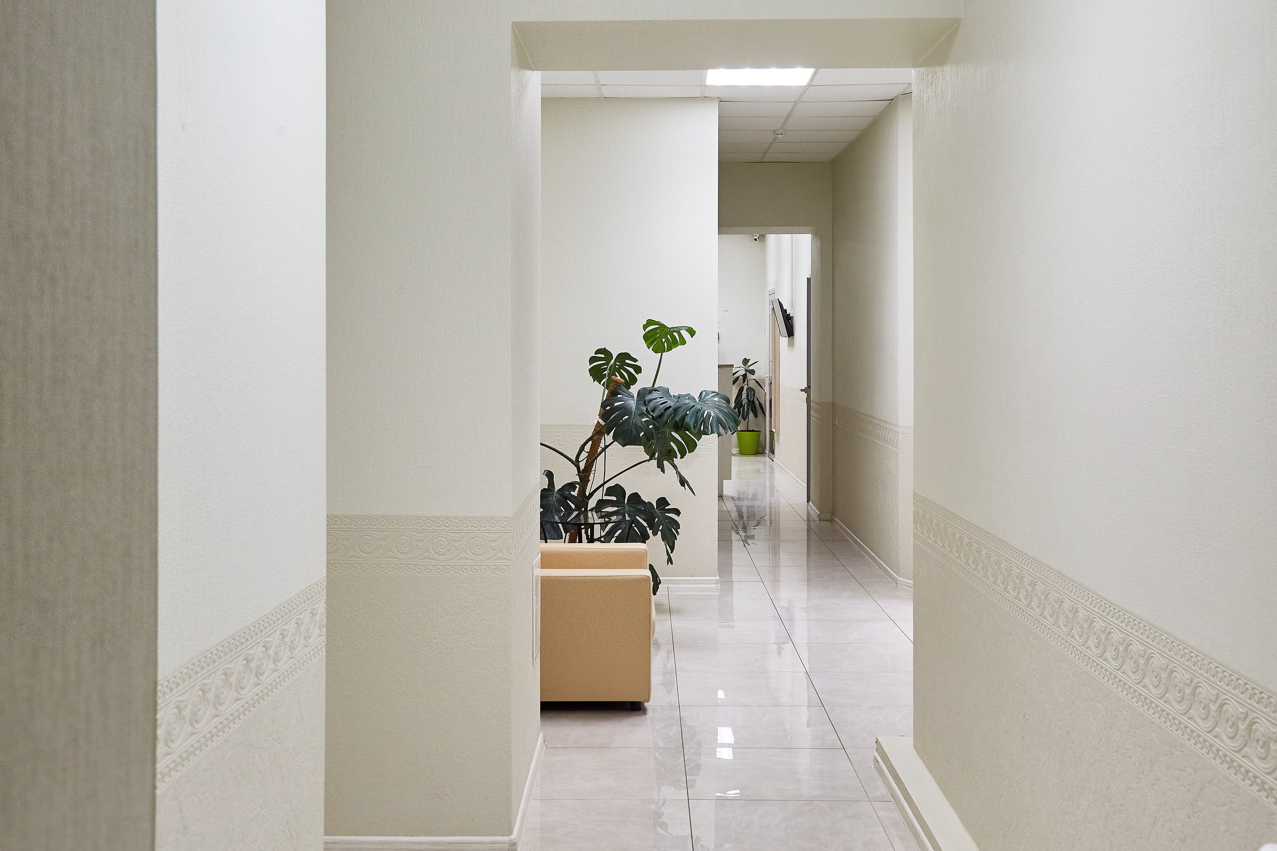 Стоматология Доктора Пушкина. Фотограф Анастасия Леонтьева Санкт-Петербург