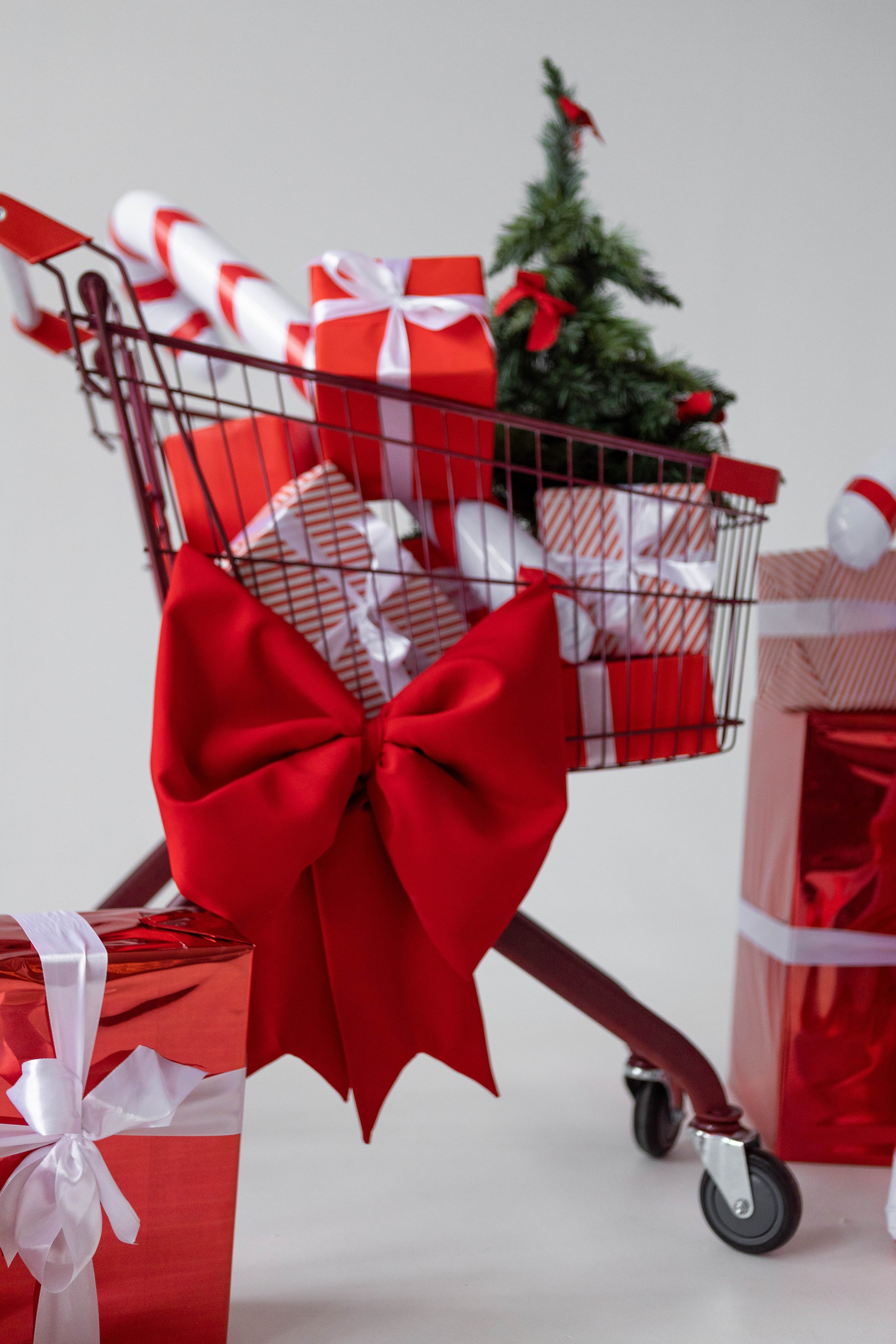 Студия F. Фотограф г. Хабаровск. Семейные и индивидуальные съёмки