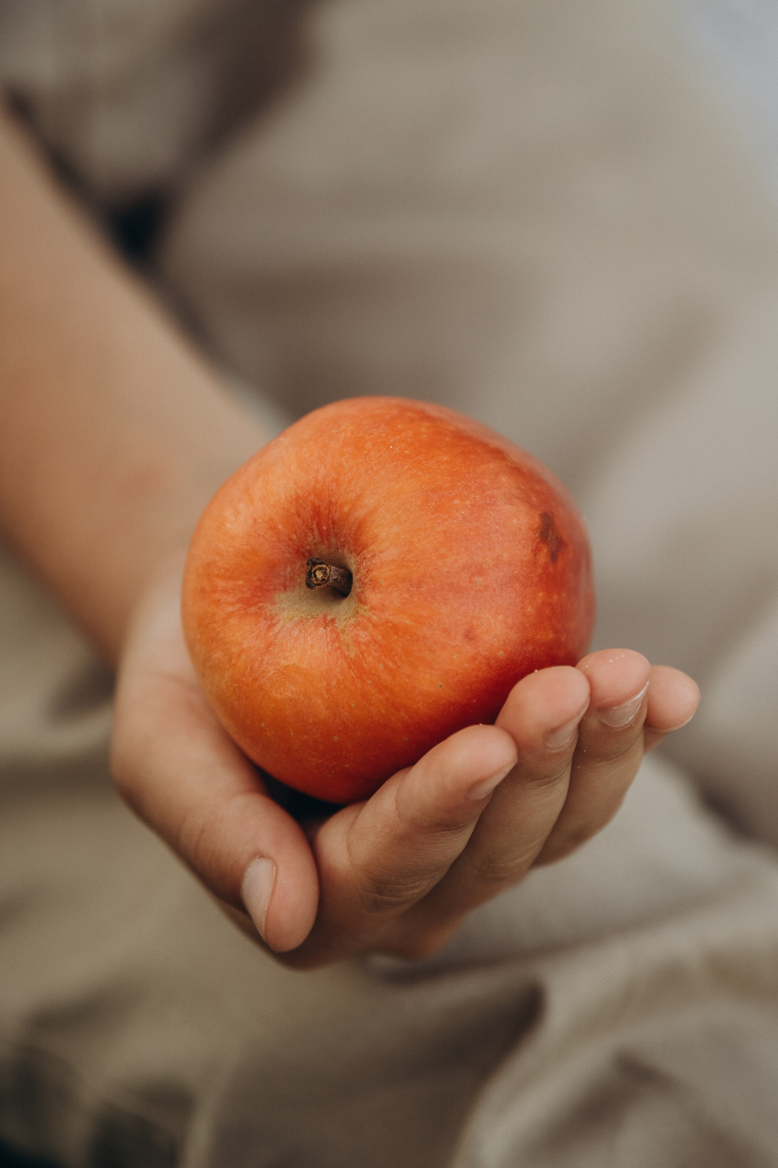 Детские портреты на набережной Геленджика