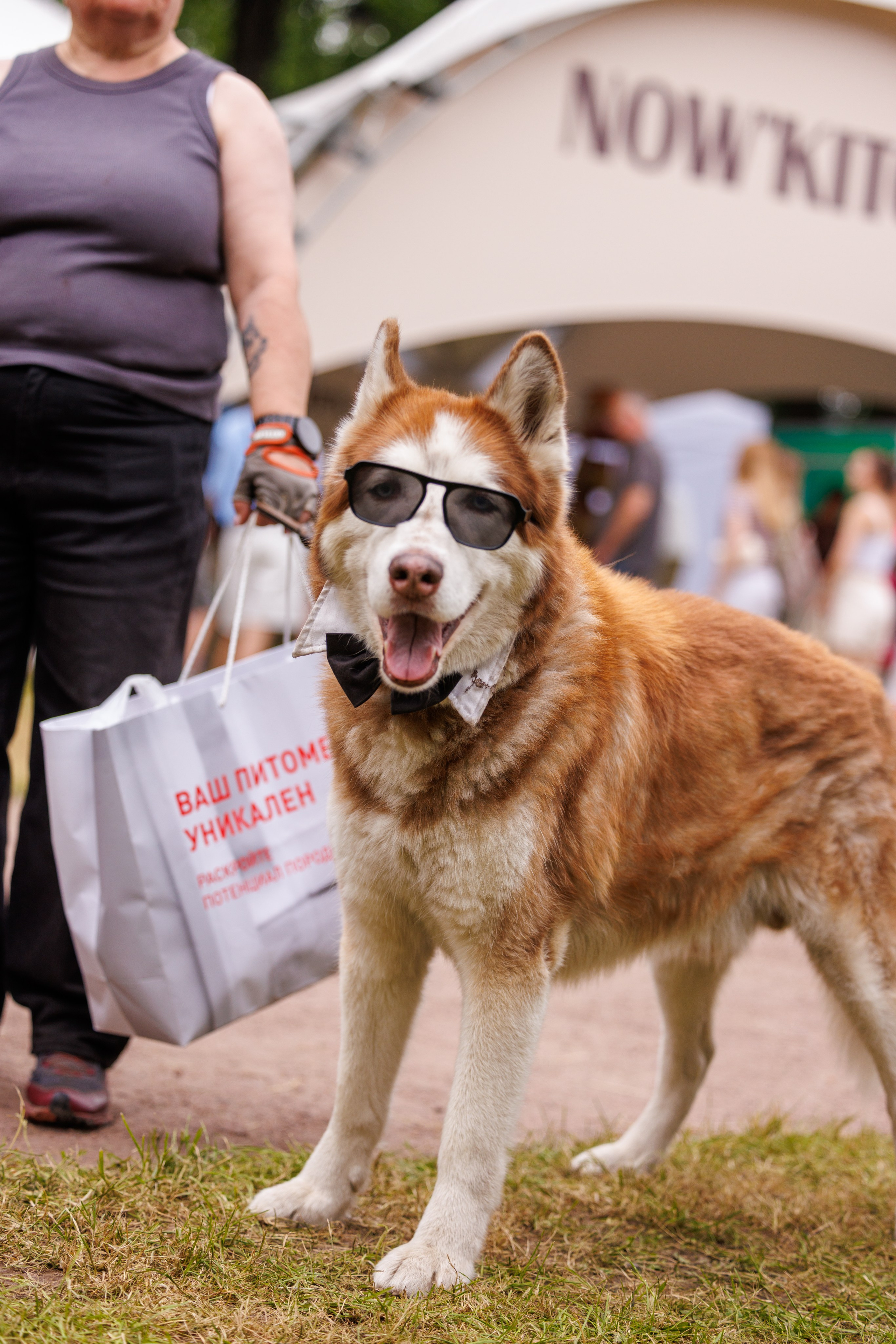 PetShopDays2026. Фотограф Александр Заломаев