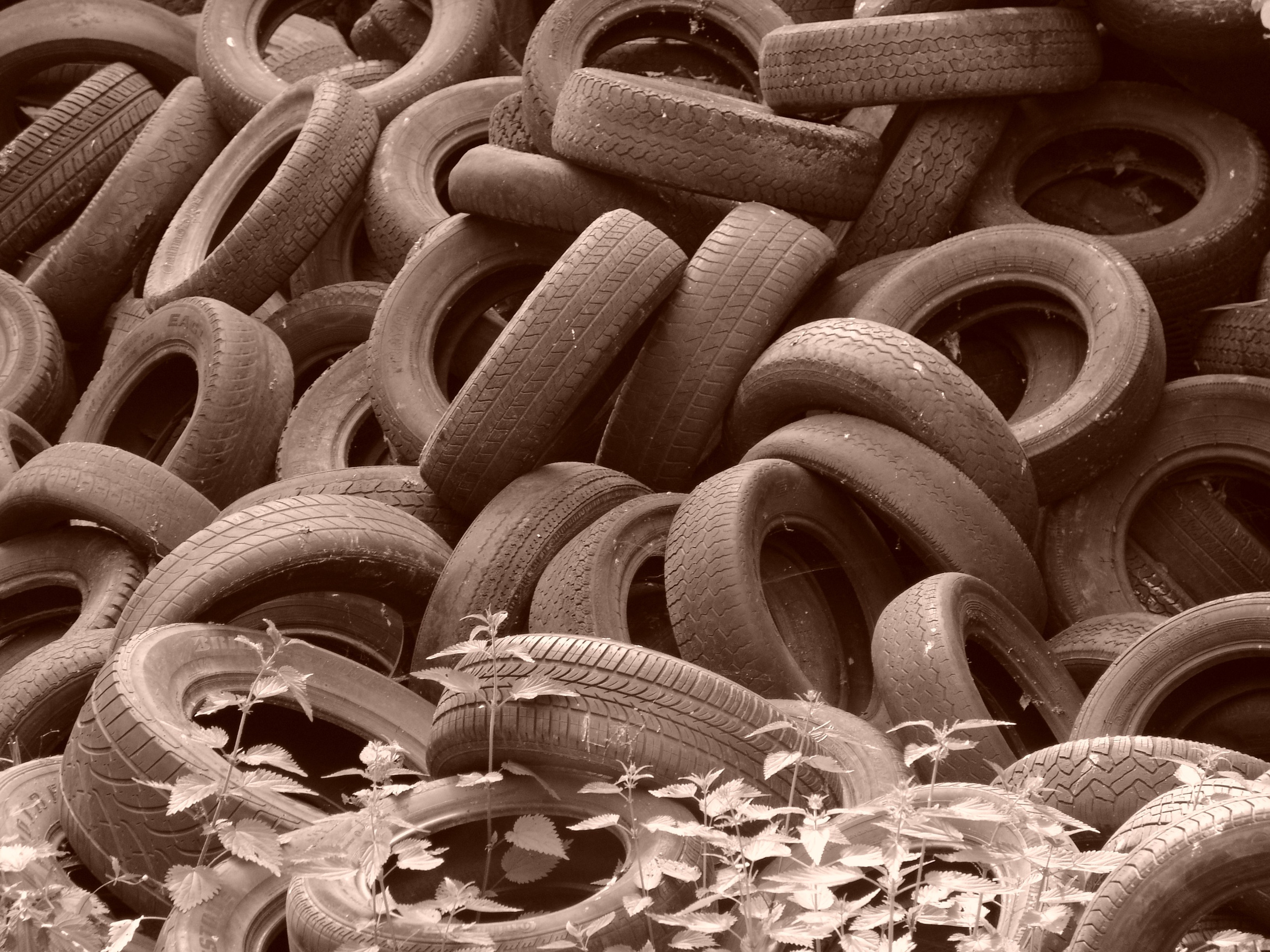 BULENT solonzovo 2005. Заставка