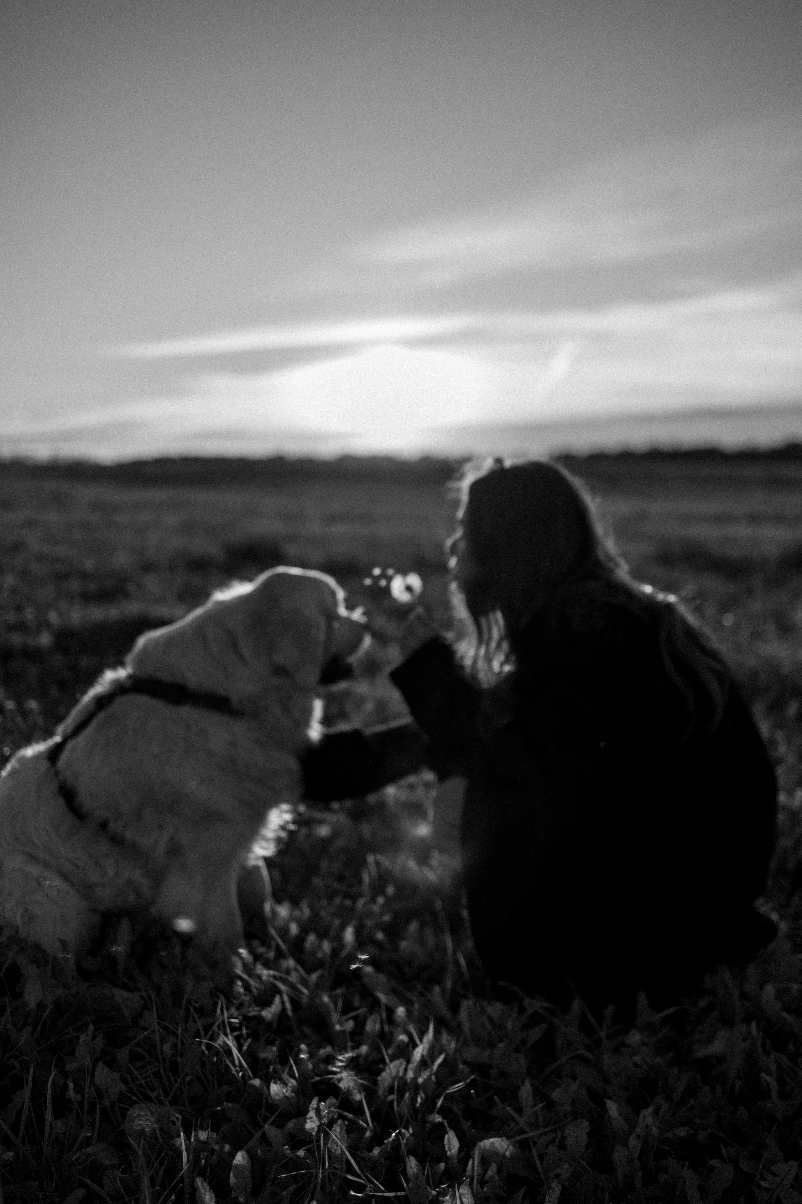 Лера и Скай. Фотограф — Анималист | Санкт-Петербург