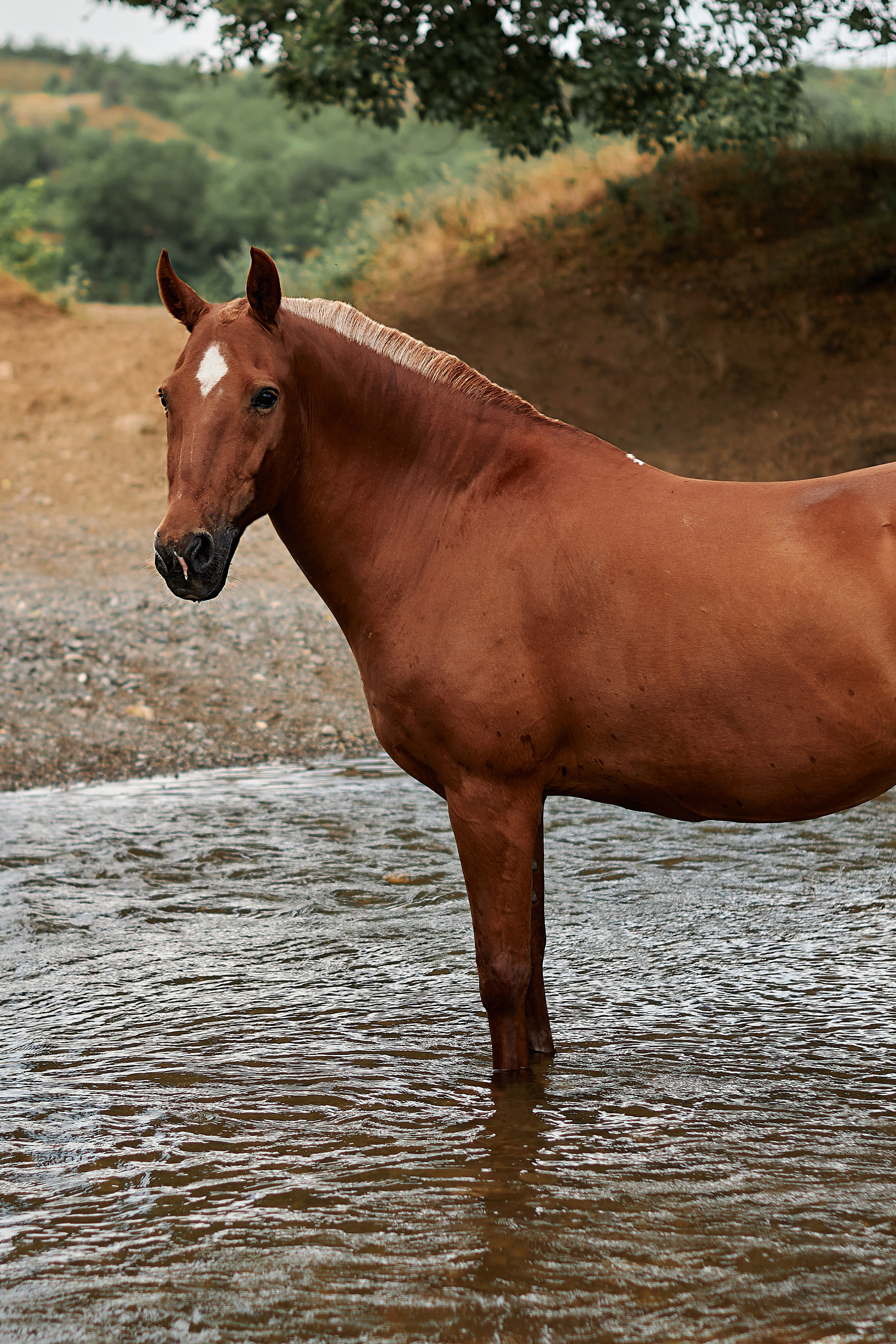 Касандра. Фотограф в Севастополе