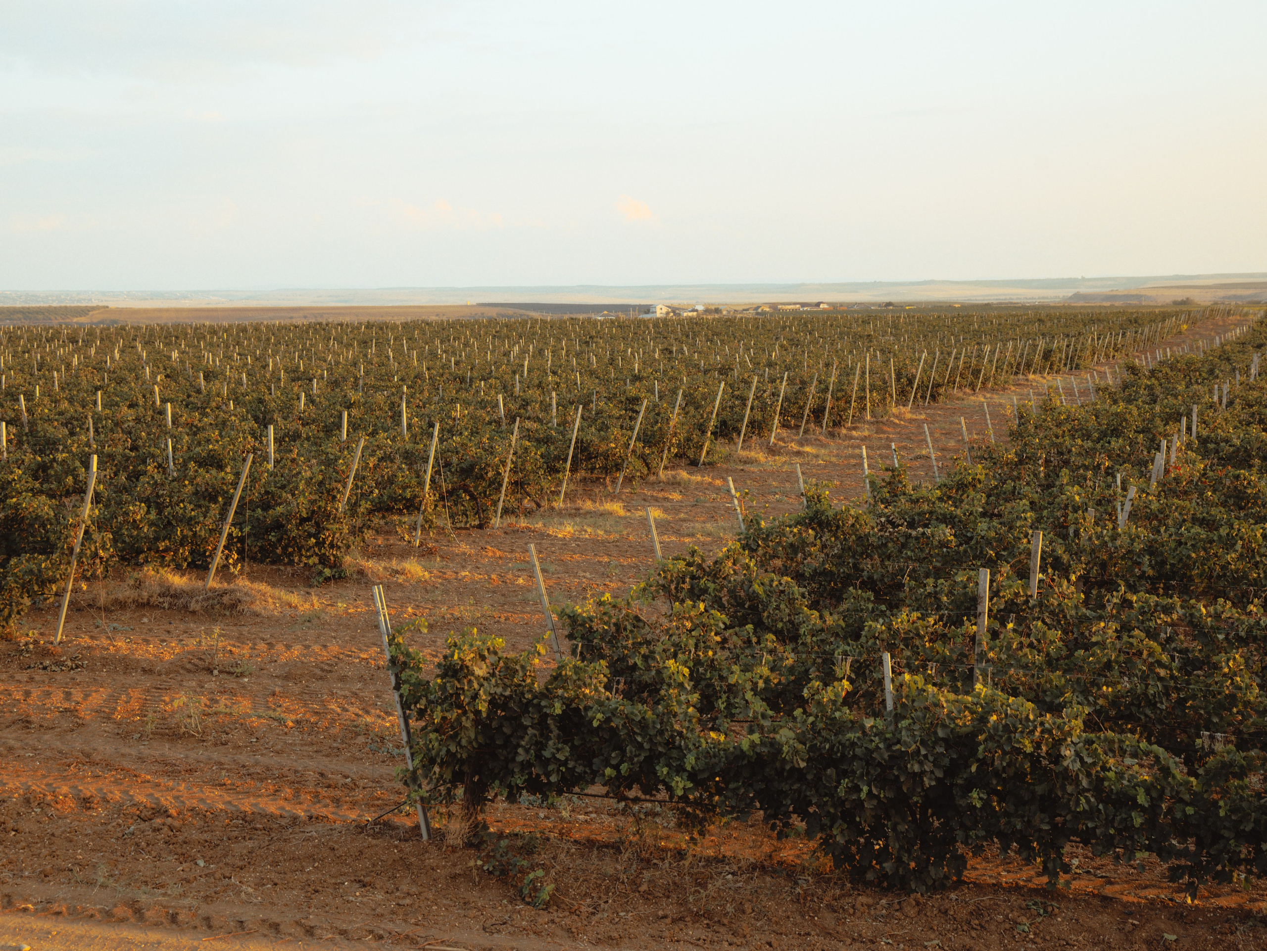 Domik в саду. Артем Корнев Фотограф