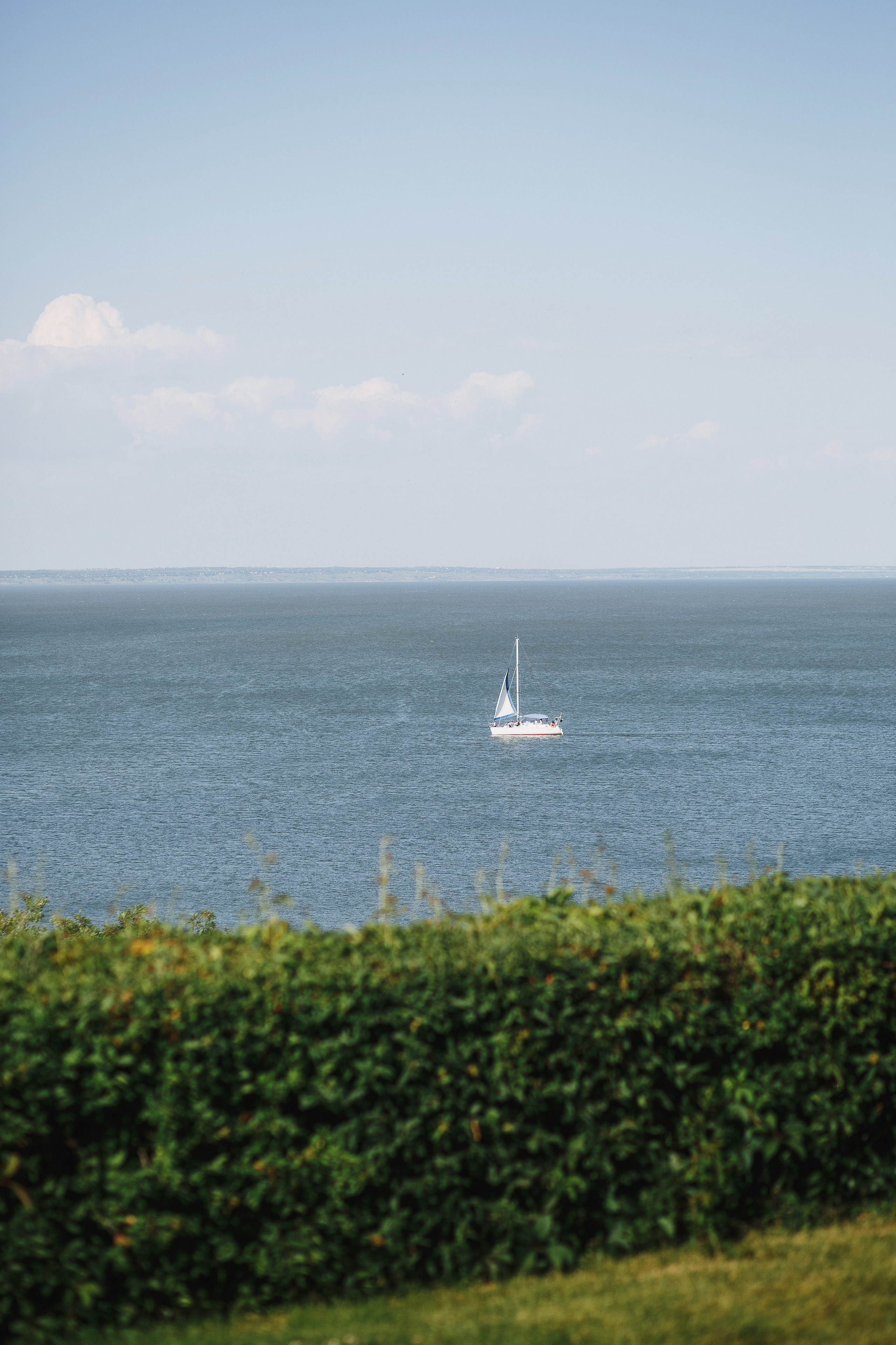 Яхта с белыми парусами плывет по спокойной воде Таганрогского залива на фоне голубого неба. Фотография сделана из ресторана Feola's Kitchen & Wine в Таганроге, на переднем плане видна зелёная растительность.