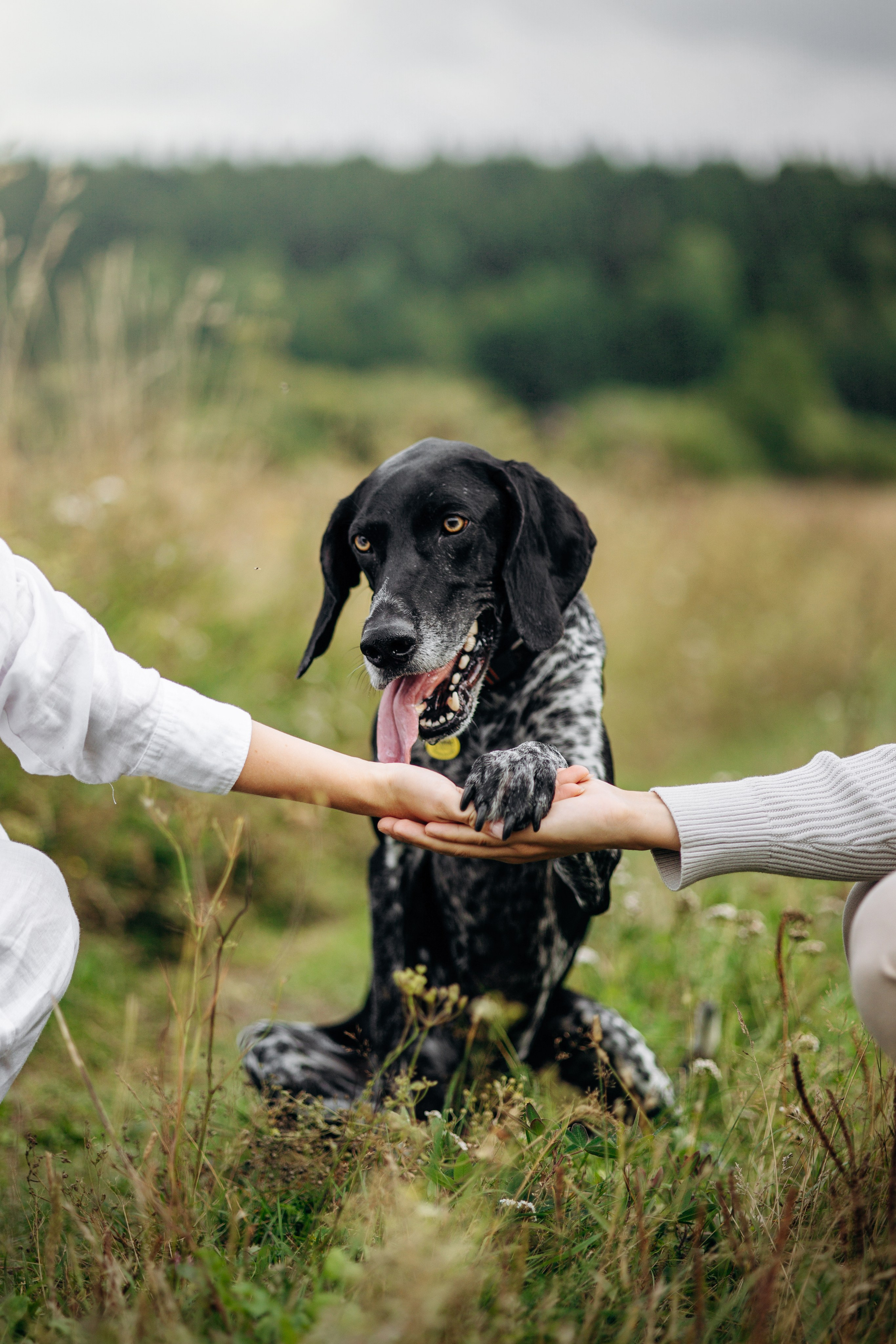 Хеликс и его семья. Фотограф — Анималист | Санкт-Петербург