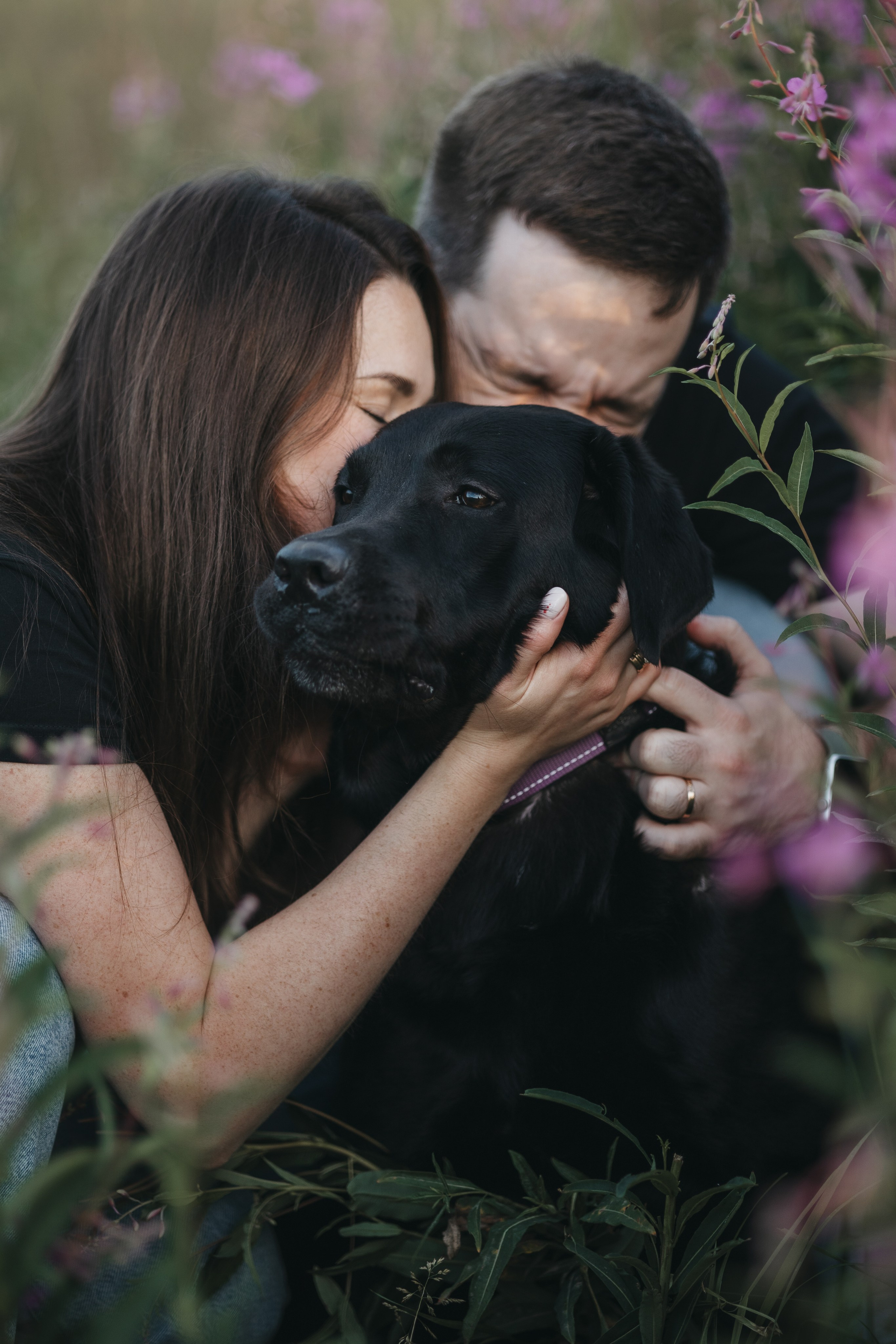 Бомбей и его семья. Фотограф — Анималист | Санкт-Петербург