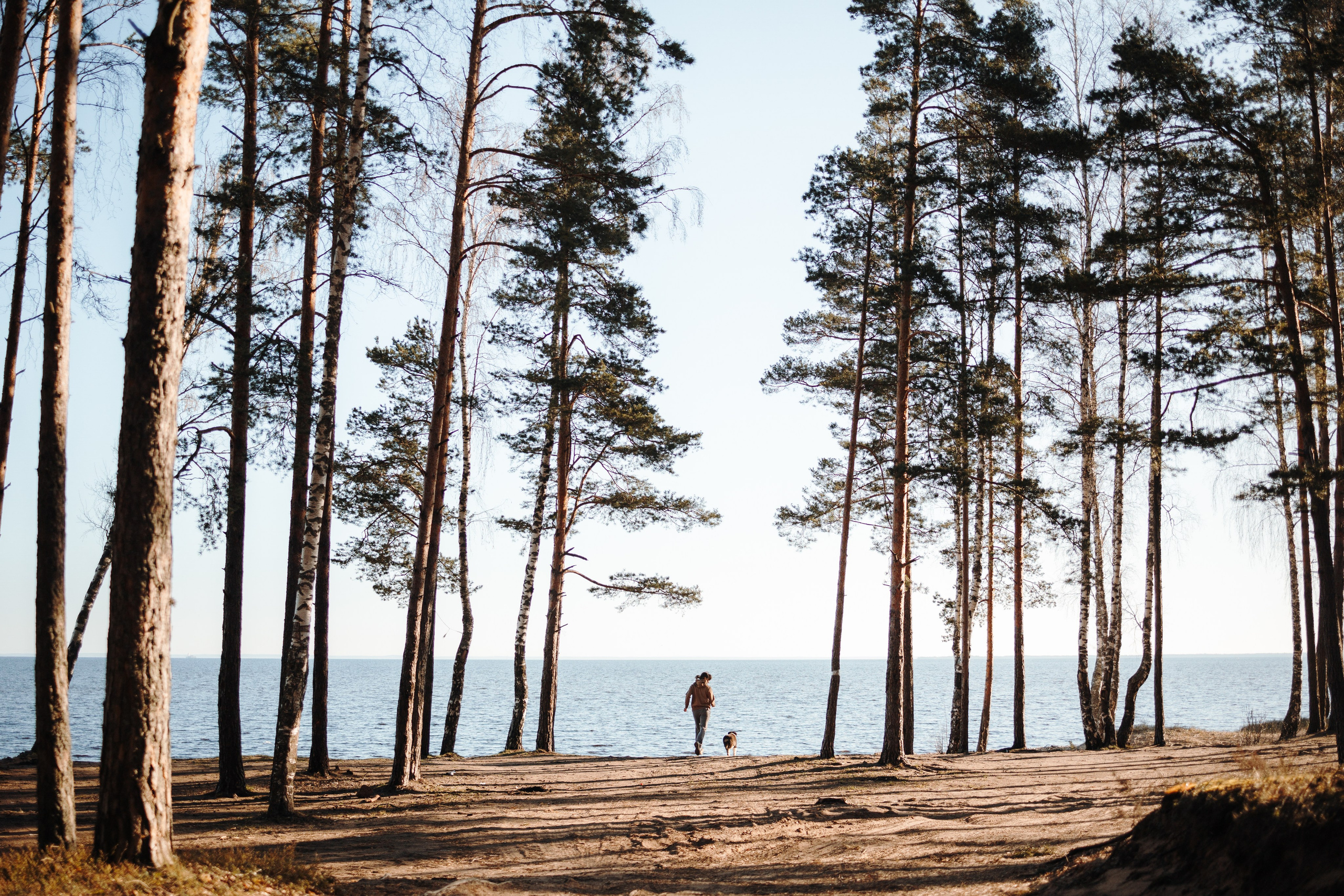 Ира и Шмель. Фотограф — Анималист | Санкт-Петербург