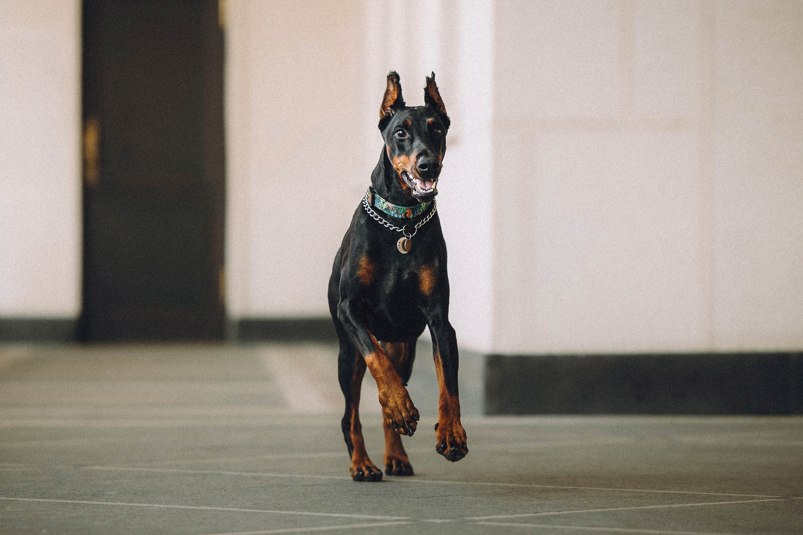 Паша и Хайди