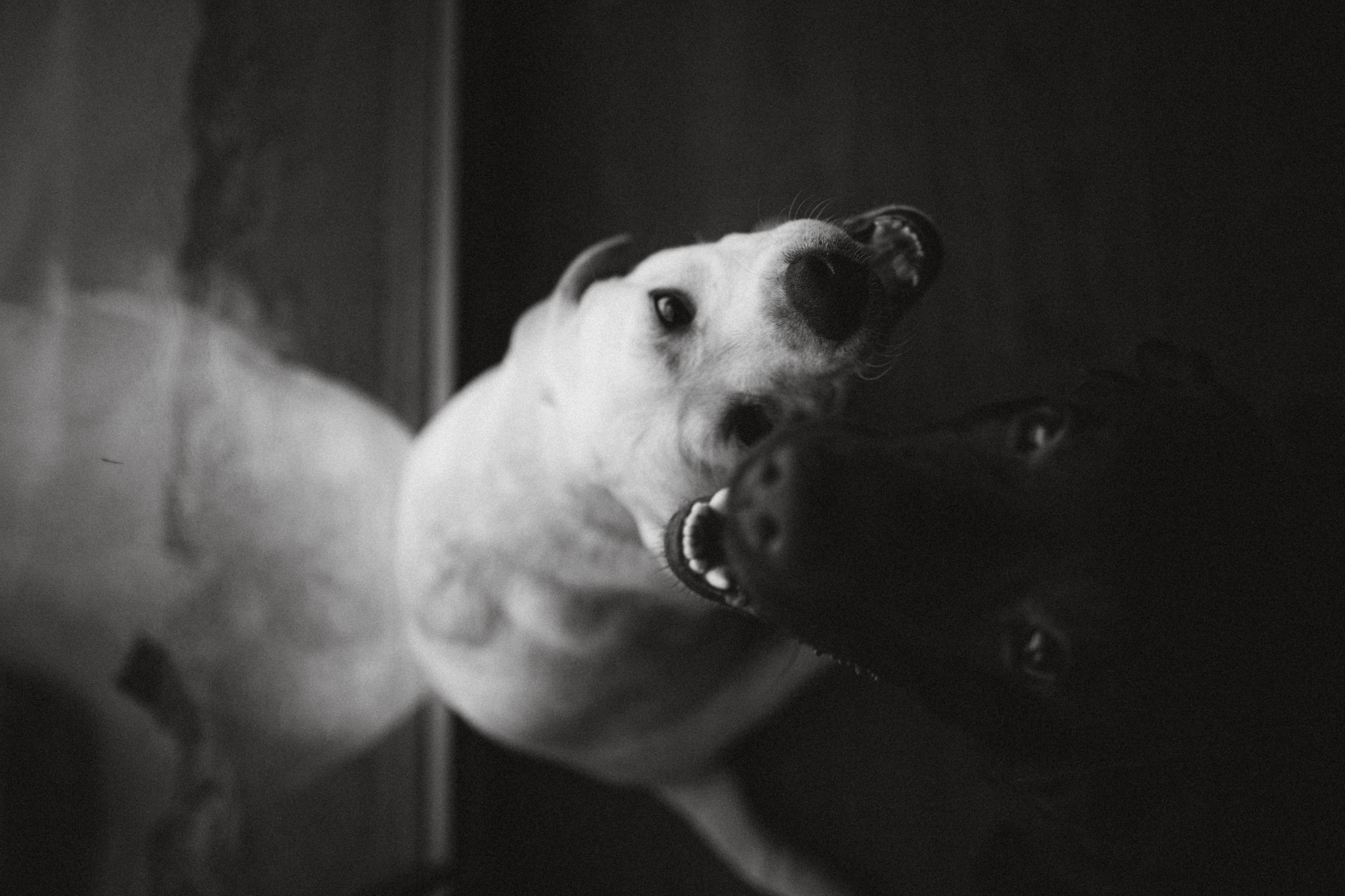 Ума, Берта и их семья