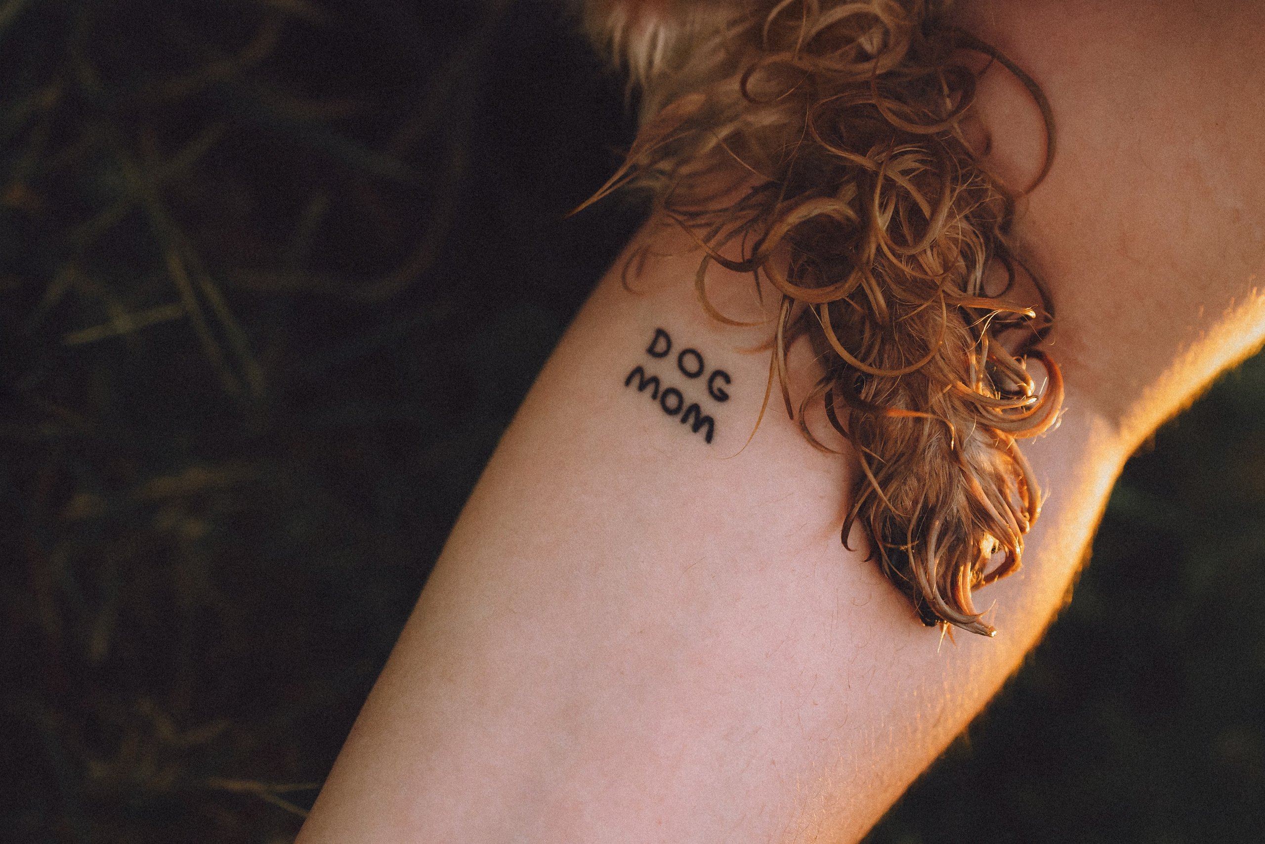 Даша и Дэзи