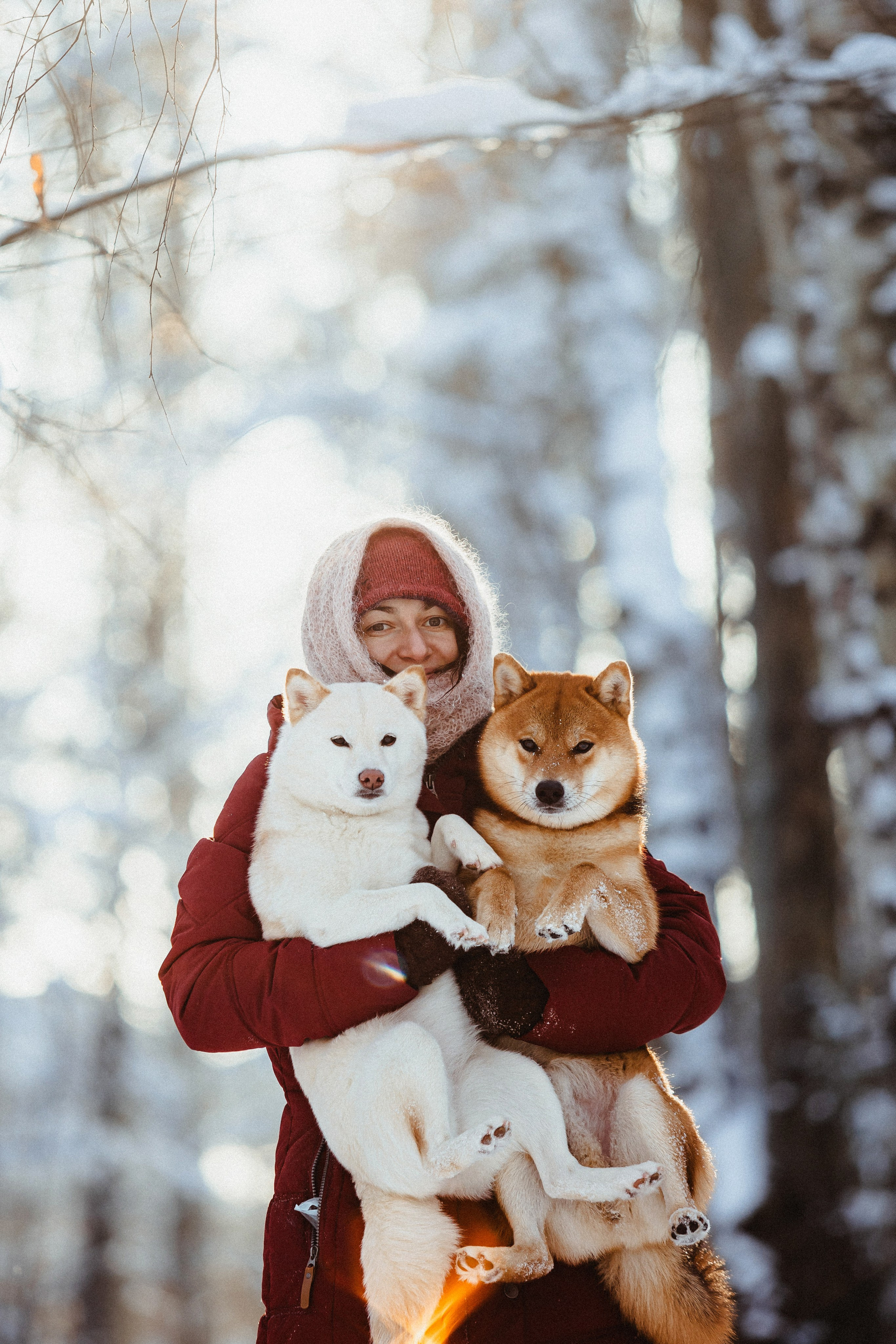 Шед, Цири и Ира