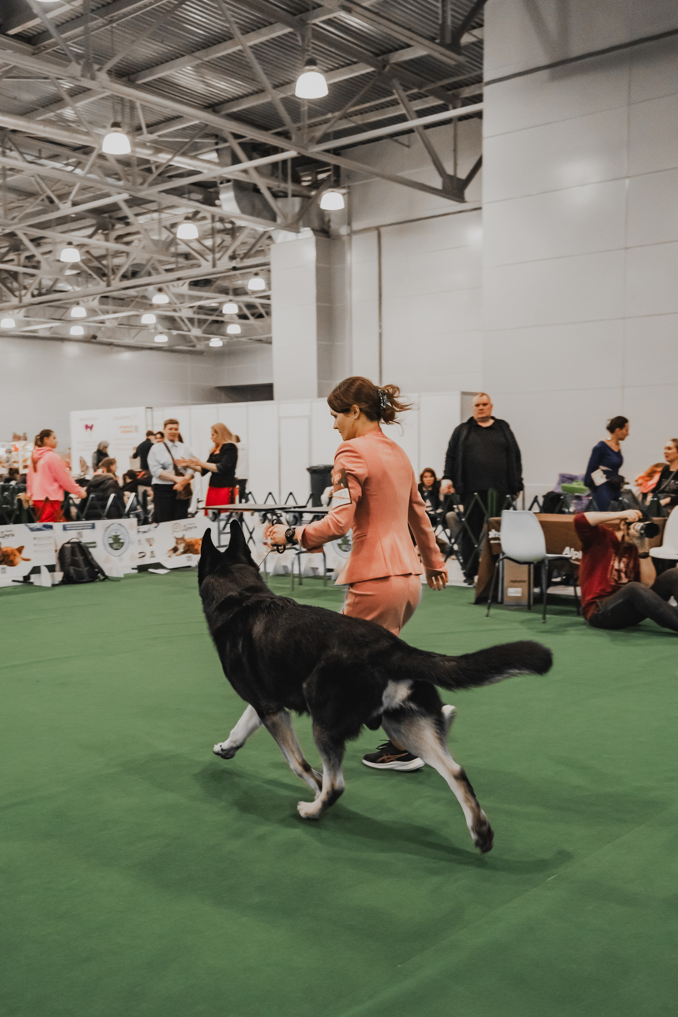 Международная выставка собак всех пород. Репортажный фотограф Анастасия Рубцова