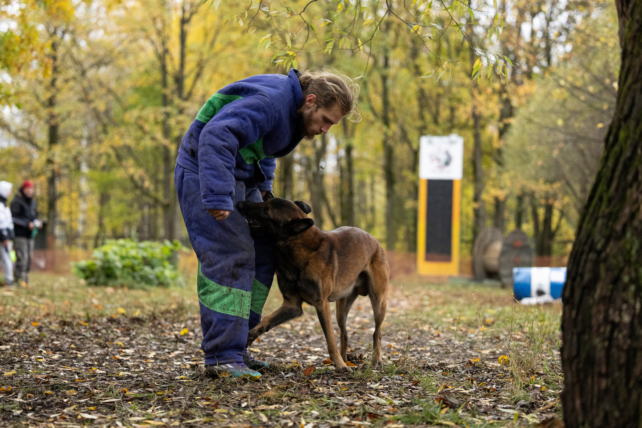 Соревнования по Мондьорингу г. Вологда. Фотограф-анималист Анна Маринич