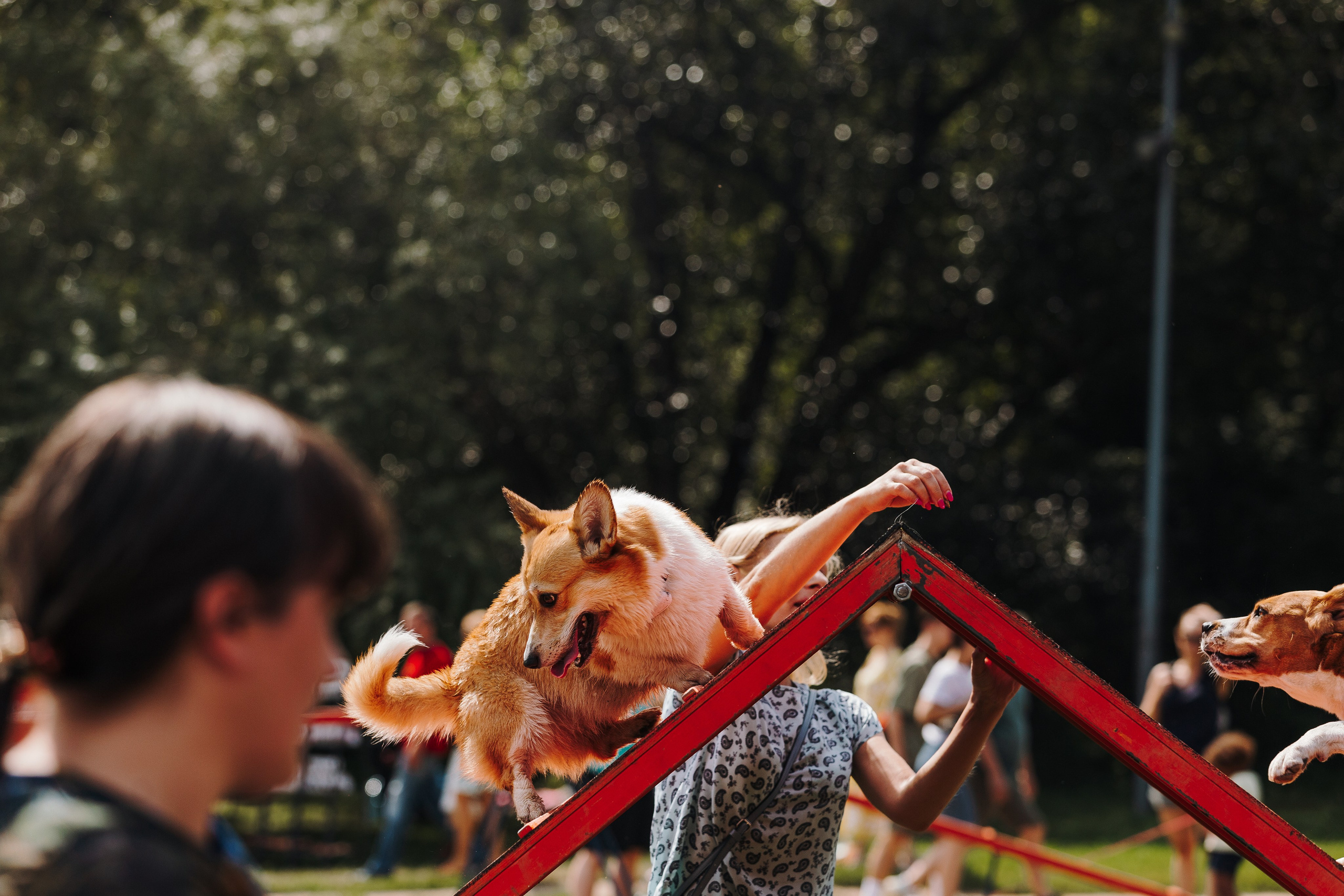 Petshop Sup day. Фотограф анималист Кристина Карпова, Москва
