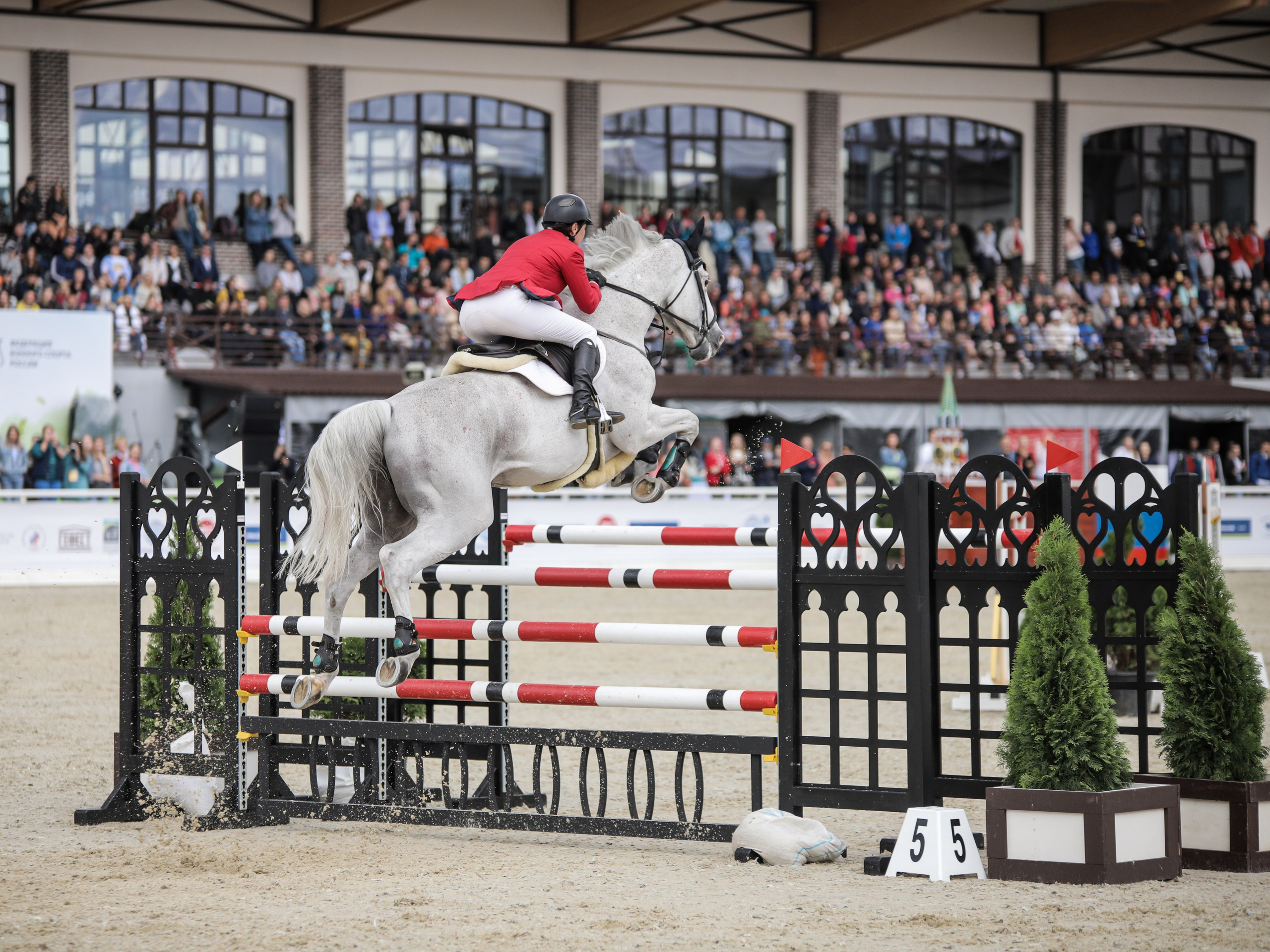 Турнир «Токийский Тур». Фотограф и видеограф в Москве Ирина Фомочкина