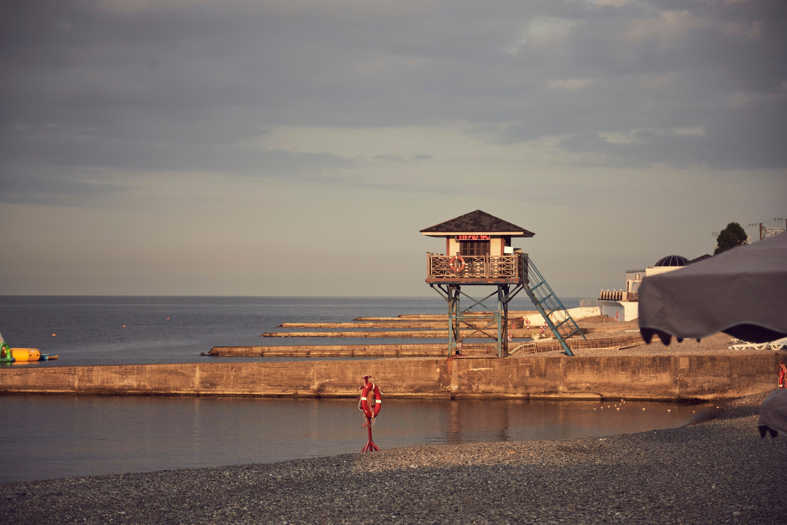 Предложение руки и сердца. Главная