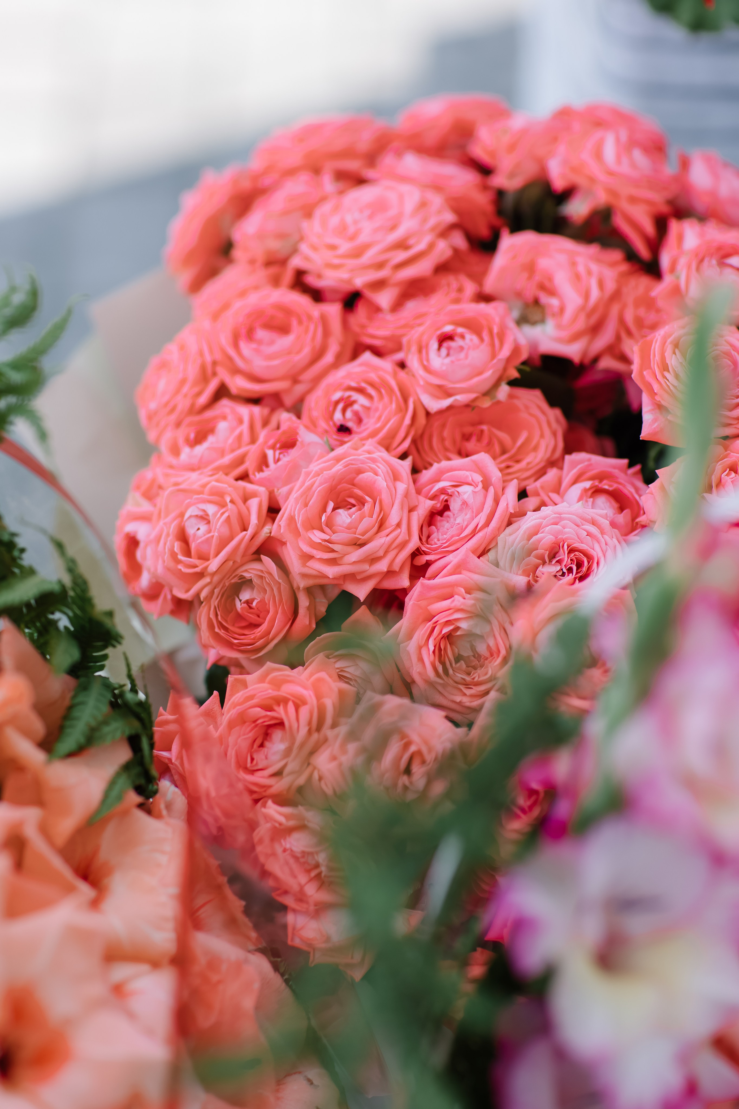 Aleksey&Viktoriya. Свадебный фотограф