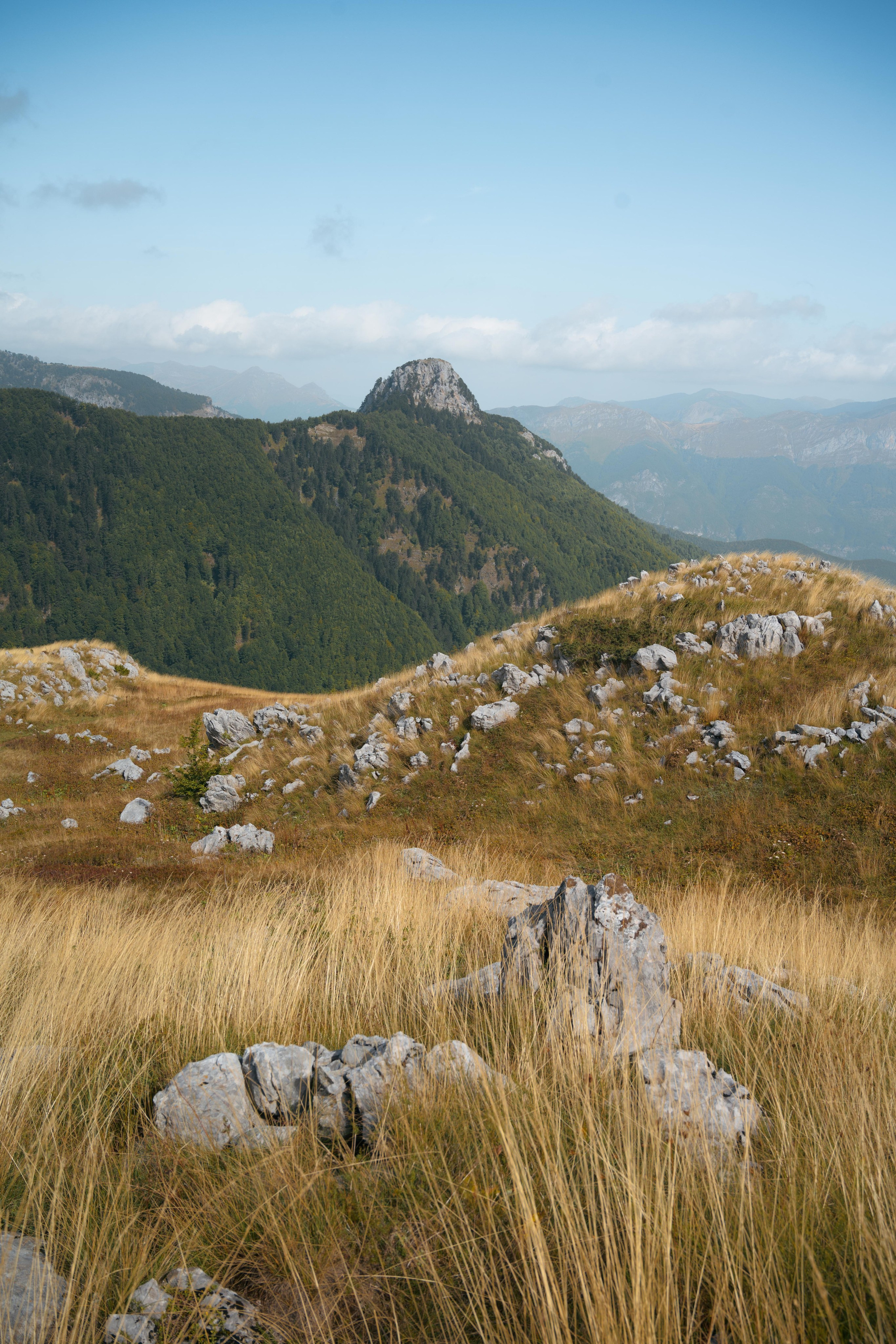 ДОЛИНА ГРЕБАЙЕ. ЧЕРНОГОРИЯ. Фотограф в Белграде Чугреева Елена