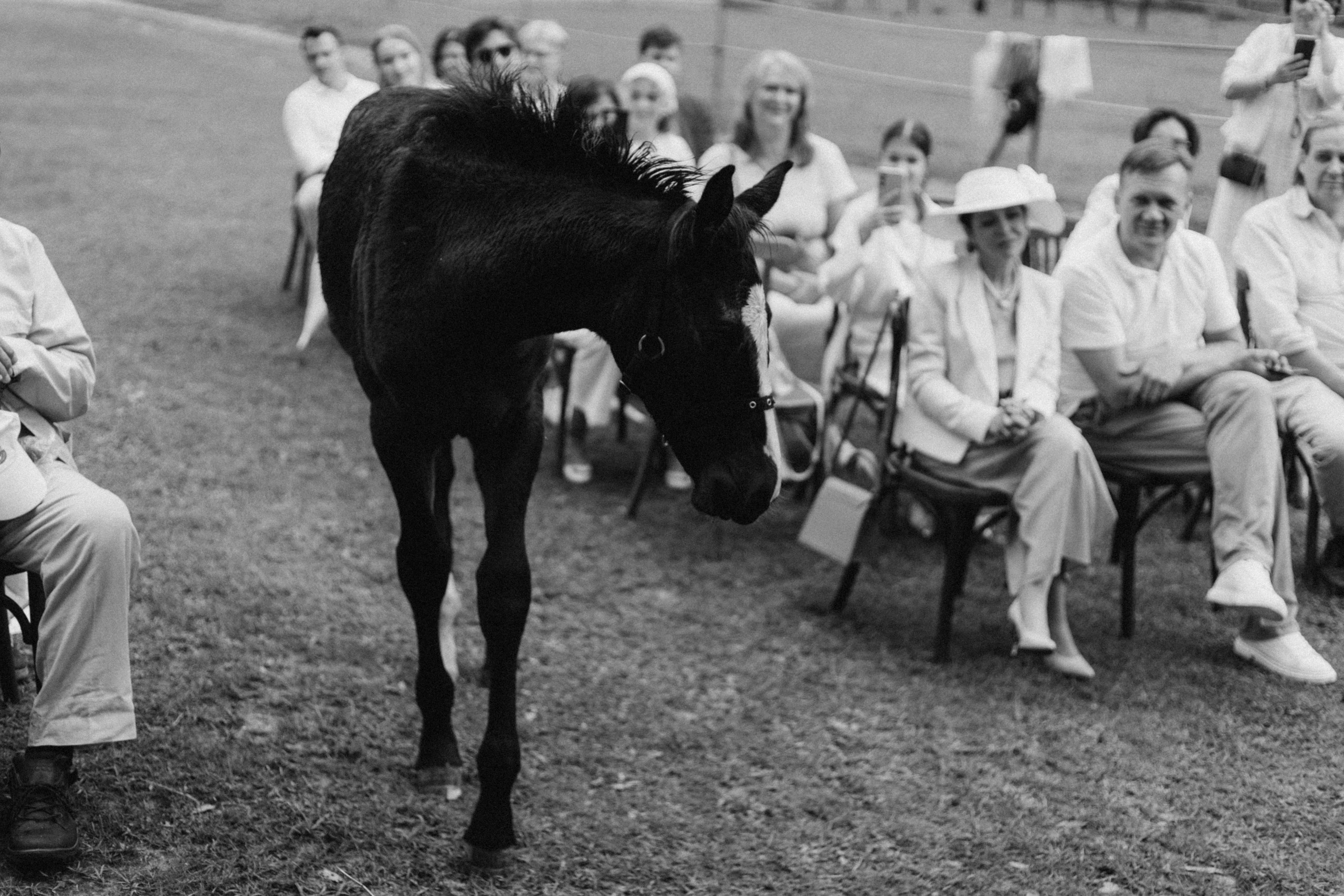 Не главные герои на своей церемонии. Свадебный и семейный фотограф в Самаре и Москве