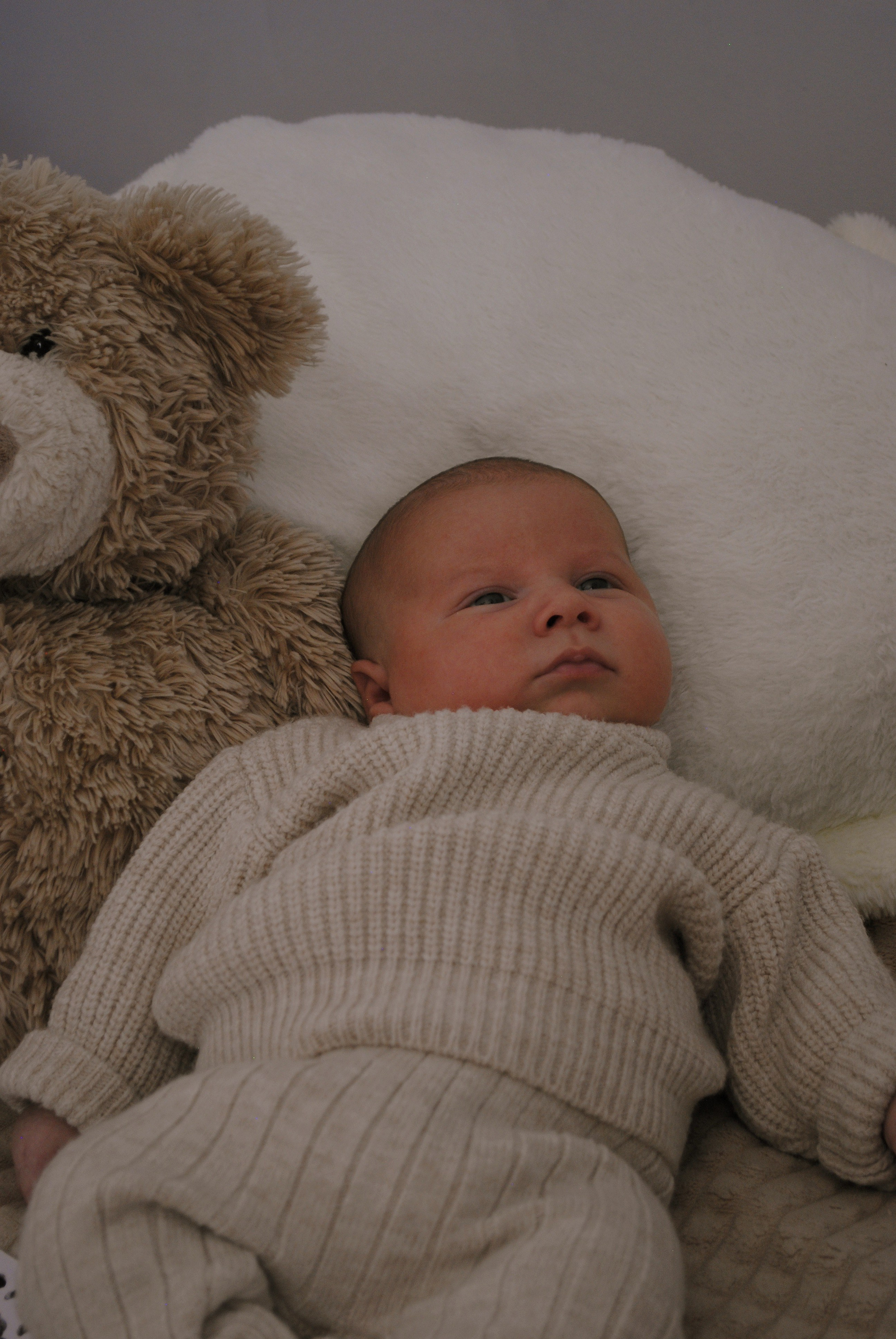 Сладкий малыш. Фотограф Мария Мусаелян