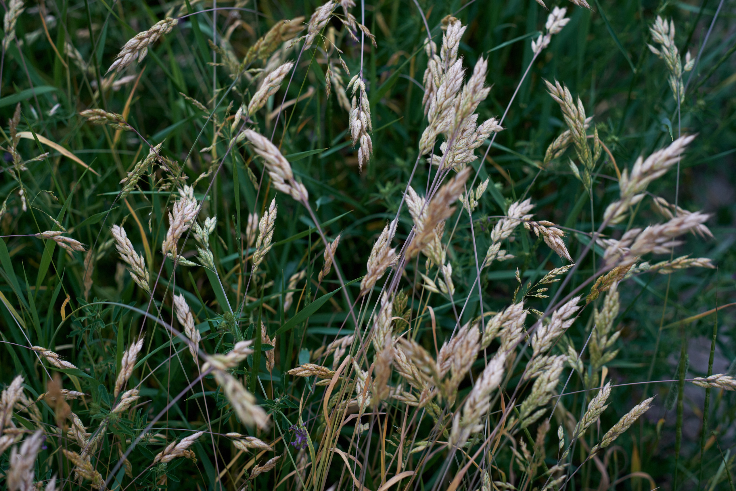 Дружба. Кристина — портретный фотограф