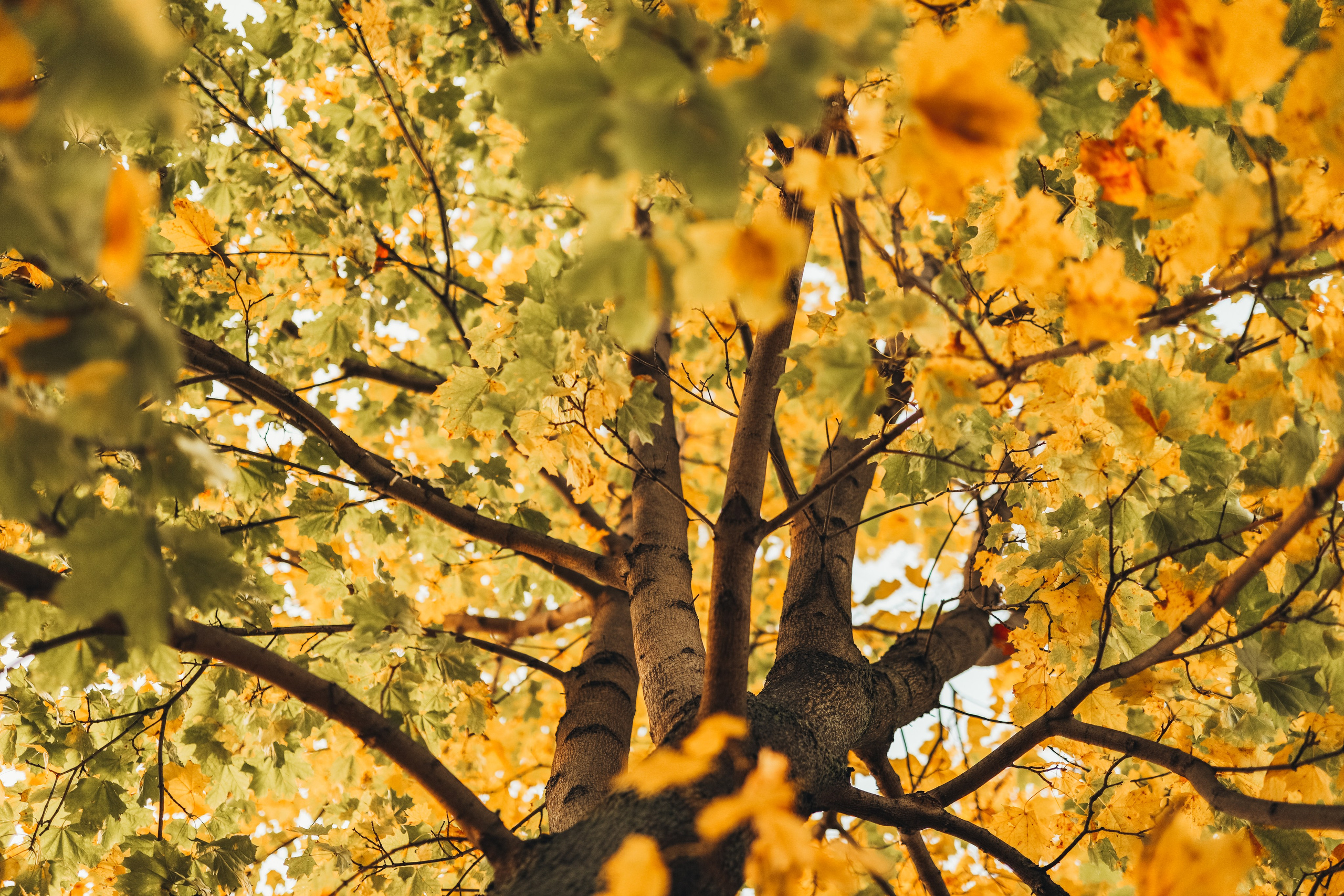 ОЛЬГА. Фотограф Лебедева Наталья