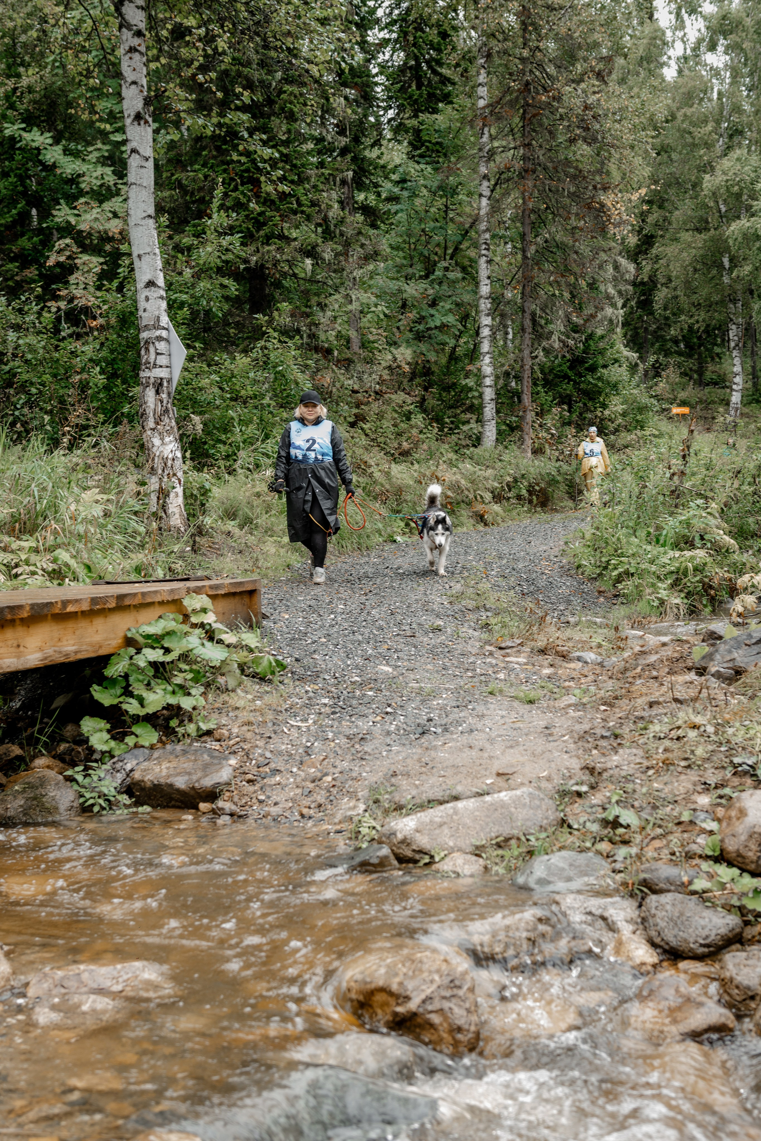 Дог-треккинг