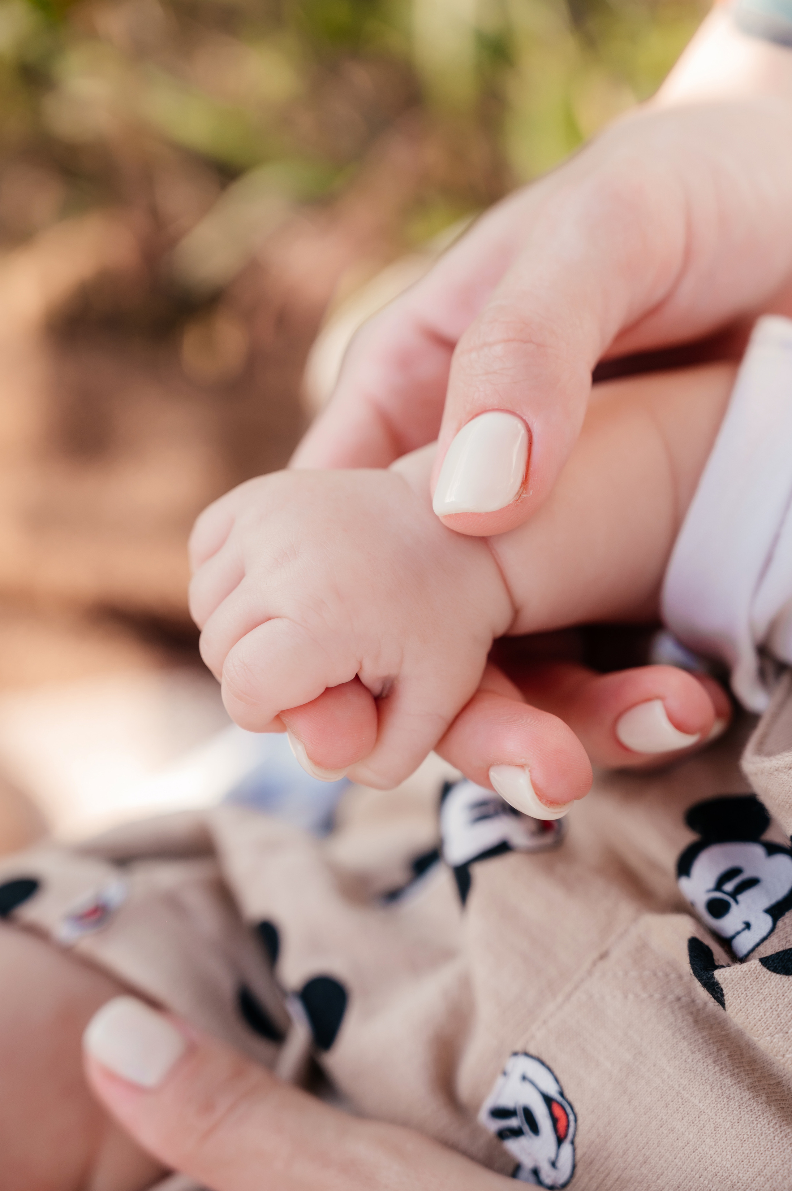 Диана, Даня и Матвей. Свадебный и семейный фотограф Вероника Холод