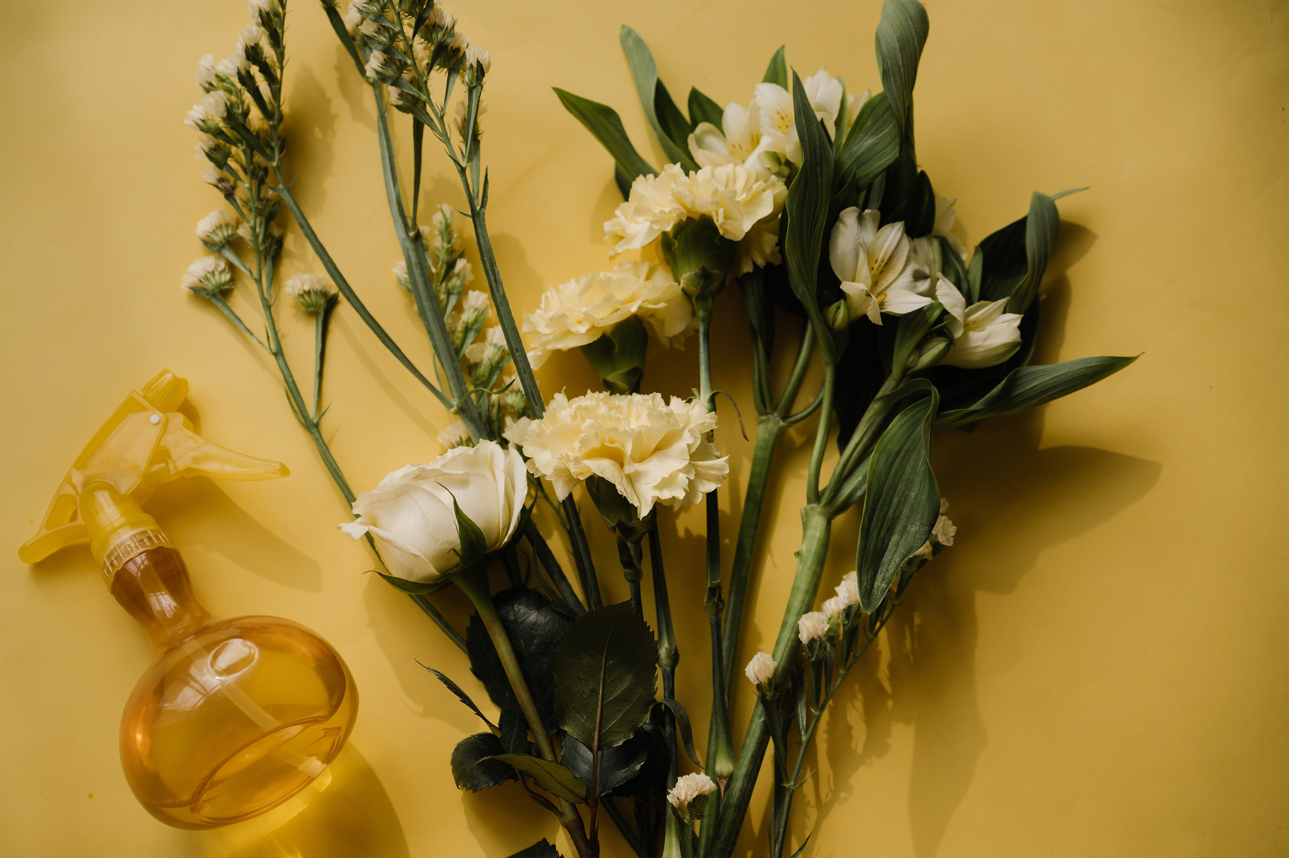 Анна Савельева. Осознанный косметолог. Свадебный и семейный фотограф Вероника Холод