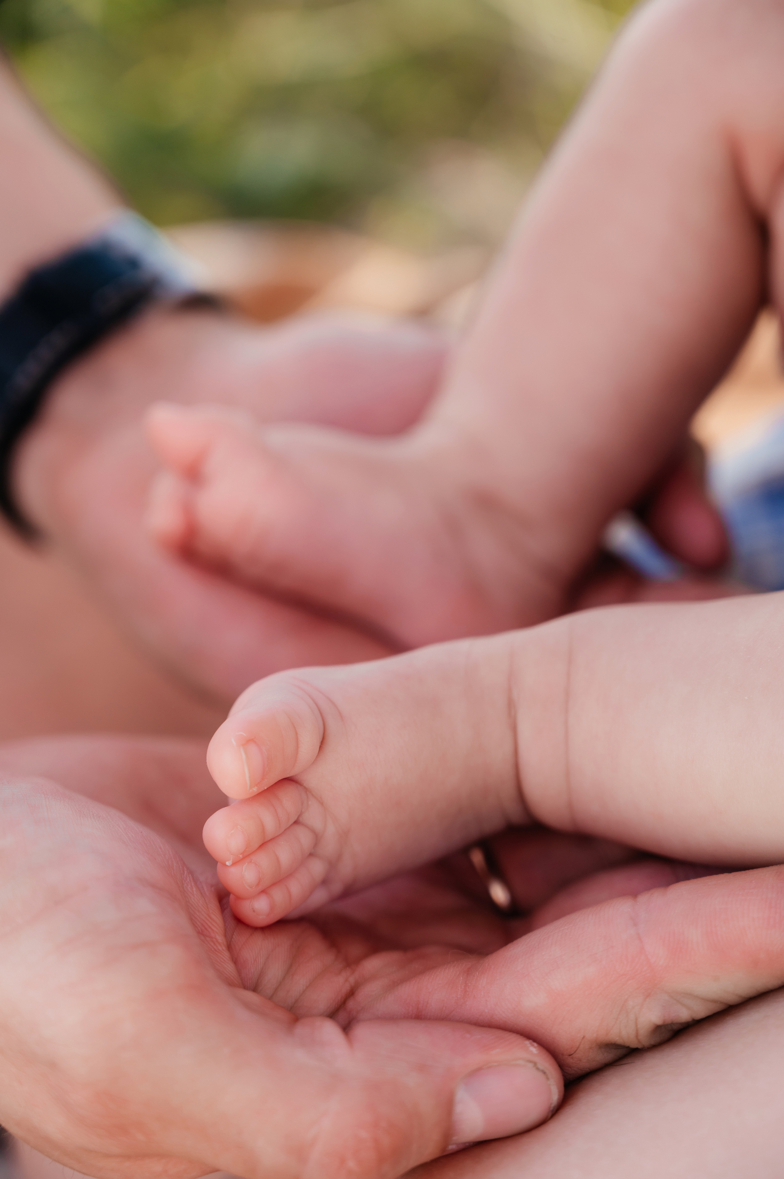 Диана, Даня и Матвей. Свадебный и семейный фотограф Вероника Холод