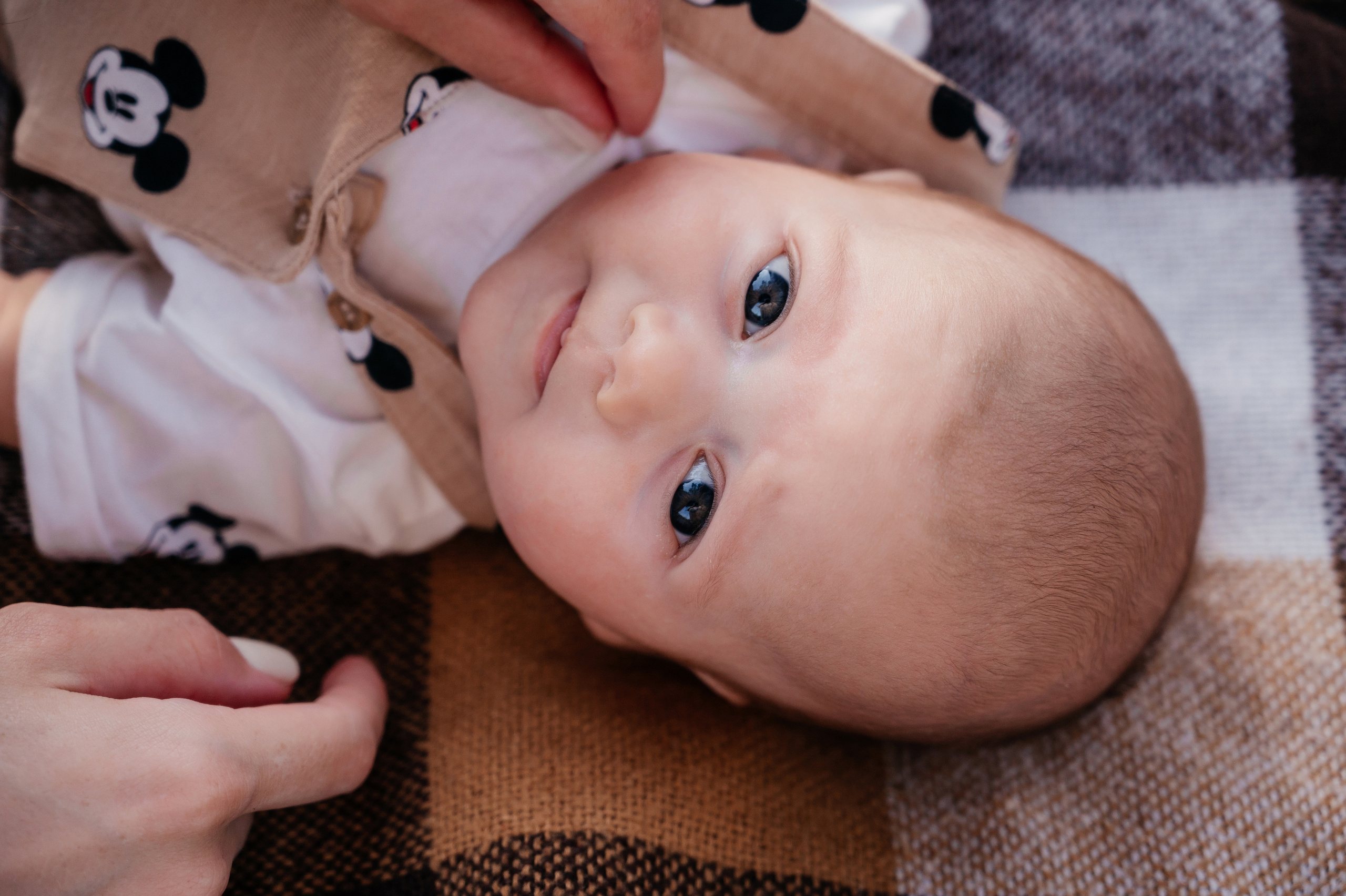 Диана, Даня и Матвей. Свадебный и семейный фотограф Вероника Холод