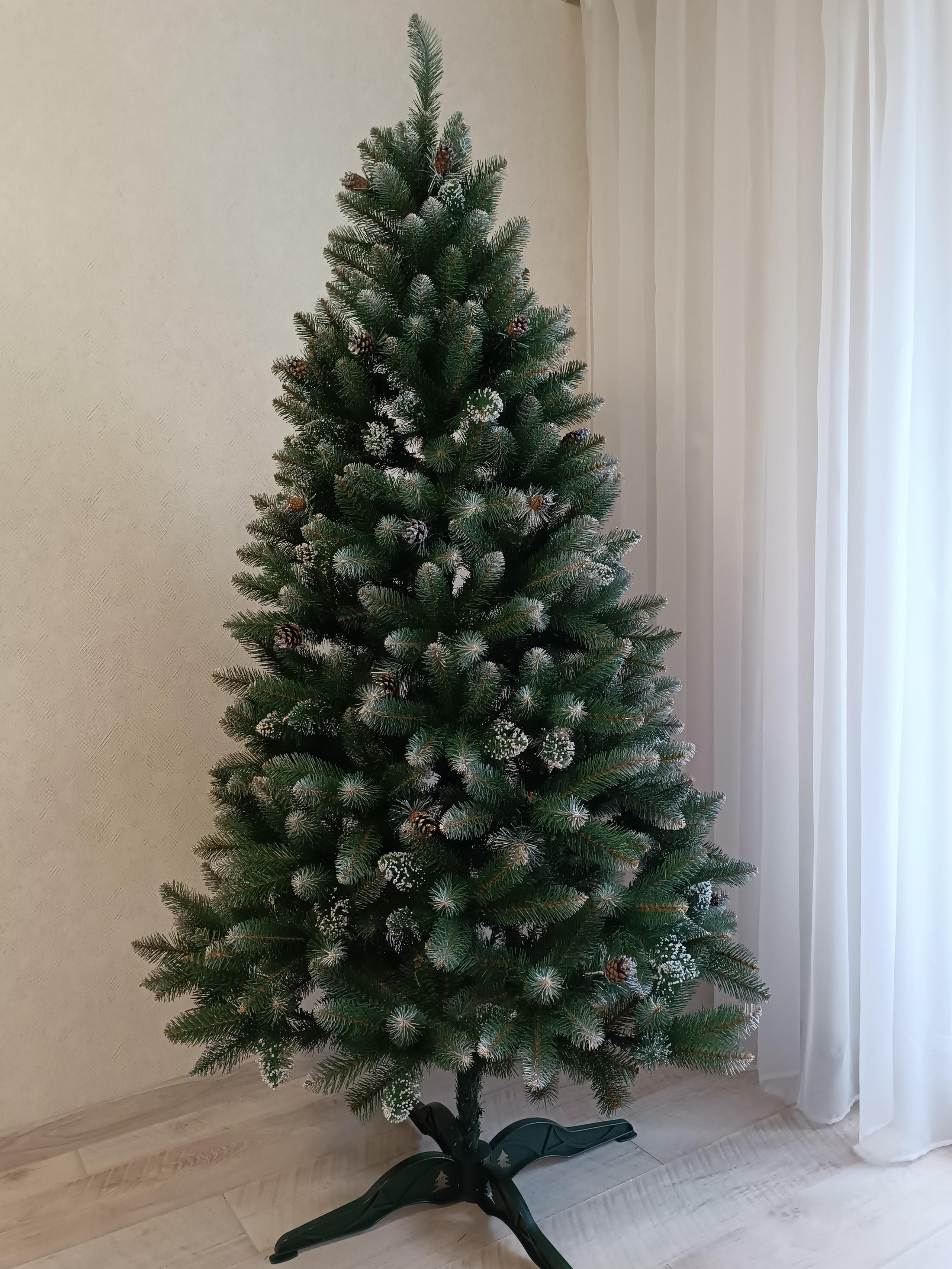 КАРОЛИНА. Elki_grodno