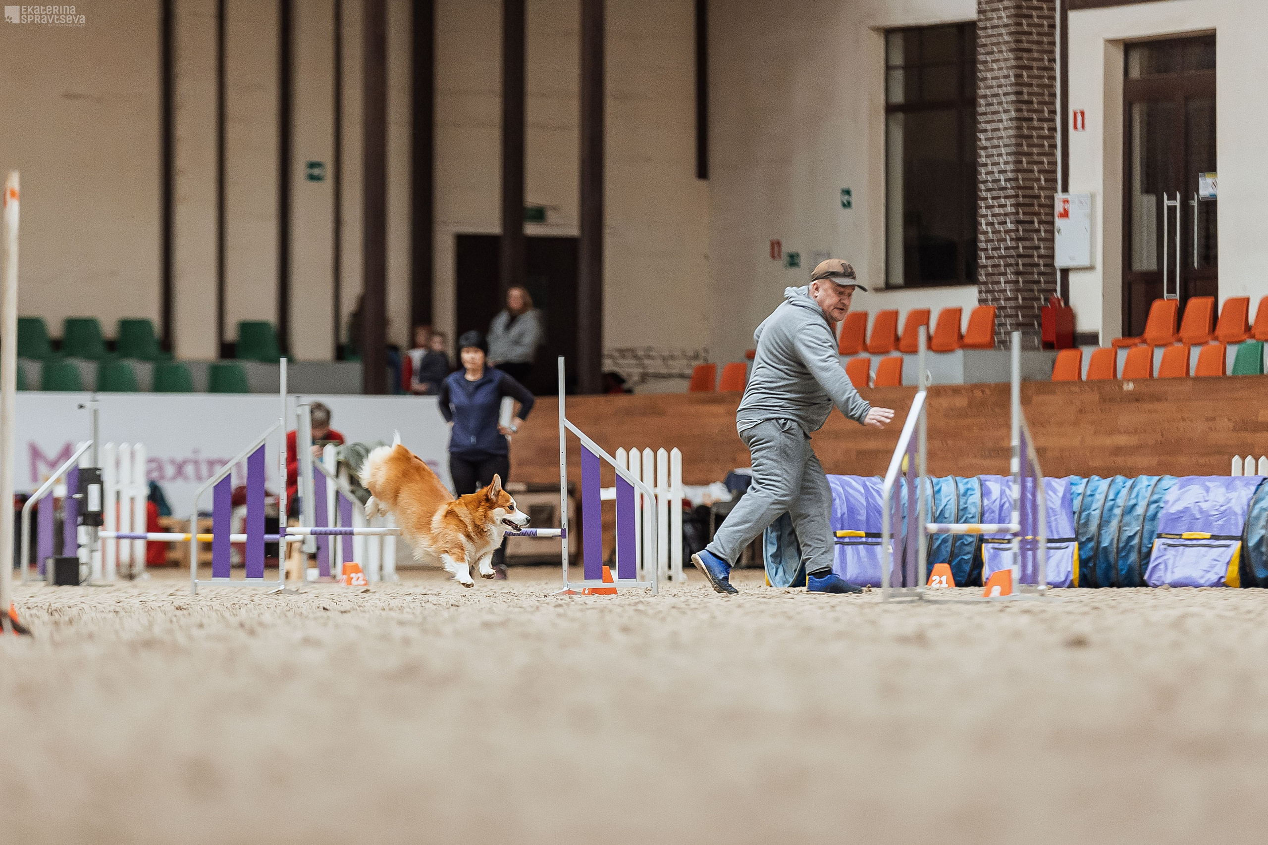 ЧРКФ Аджилити в Максима. Фотограф Анималист Екатерина Справцева в Нижнем Новгороде