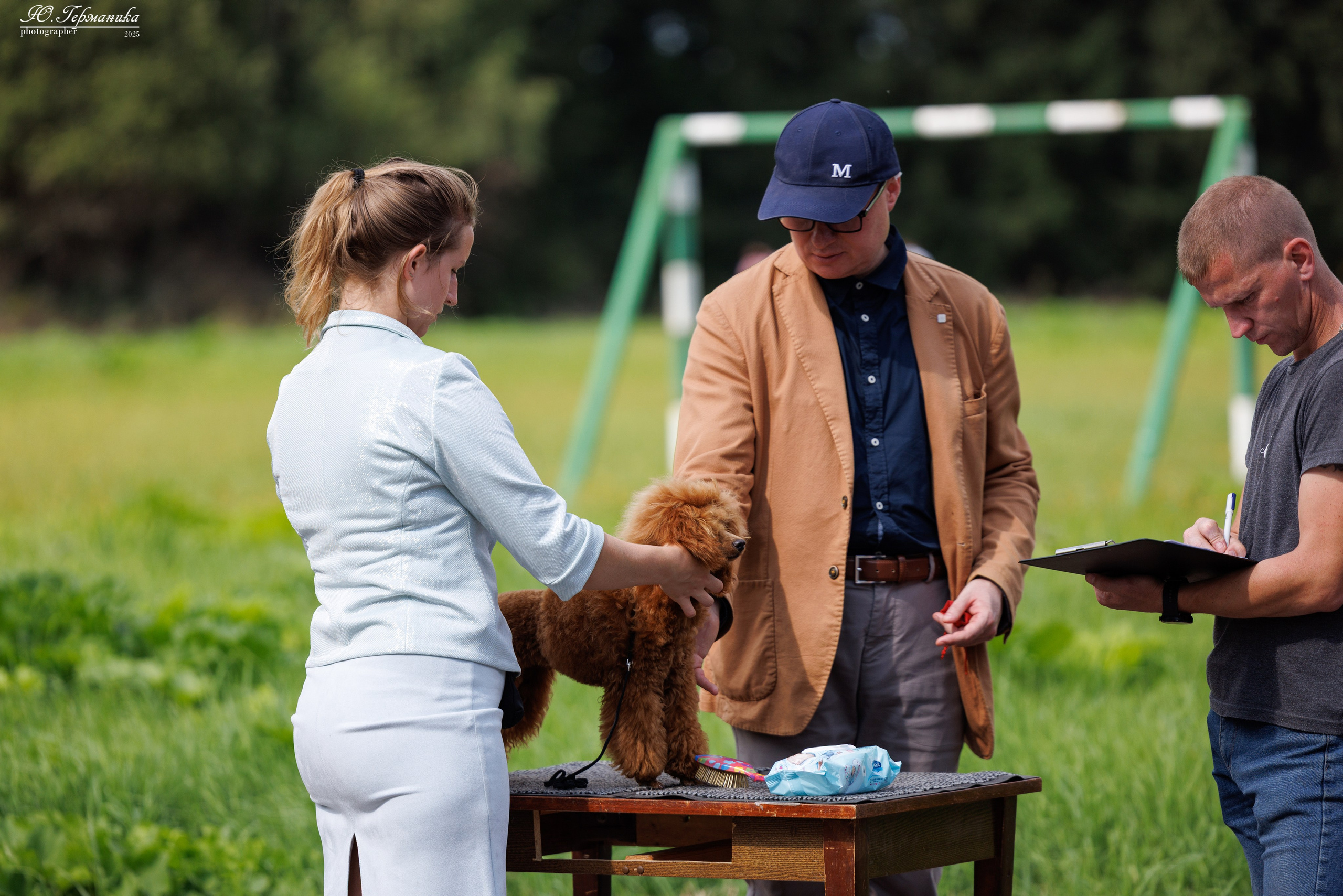 Тверь 10.08.2025. Фотограф-анималист Юлия Германика