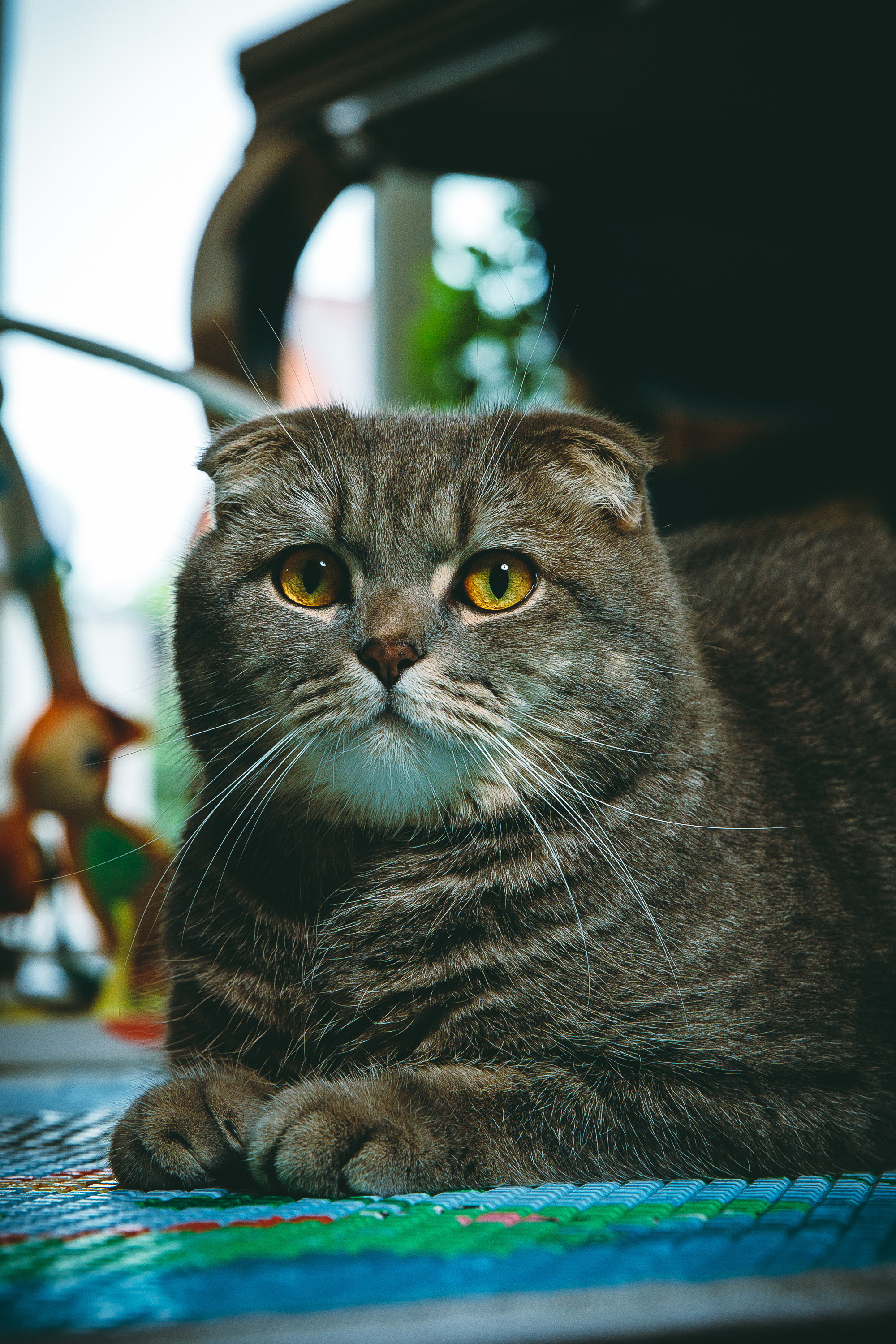 Александр, Екатерина и Сергей. Фотограф Александр Шалагин