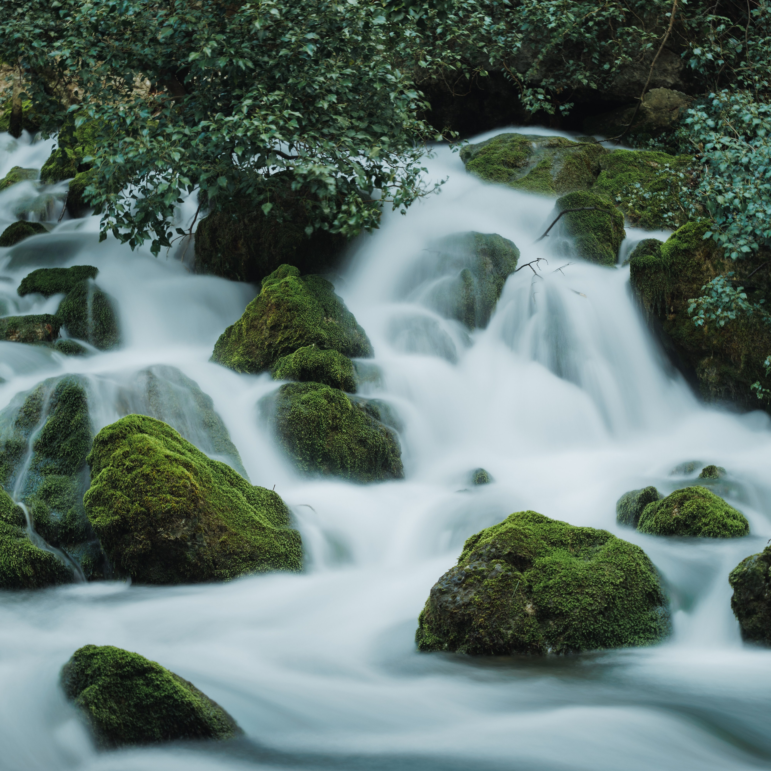 Nature. Артем Корнев Фотограф