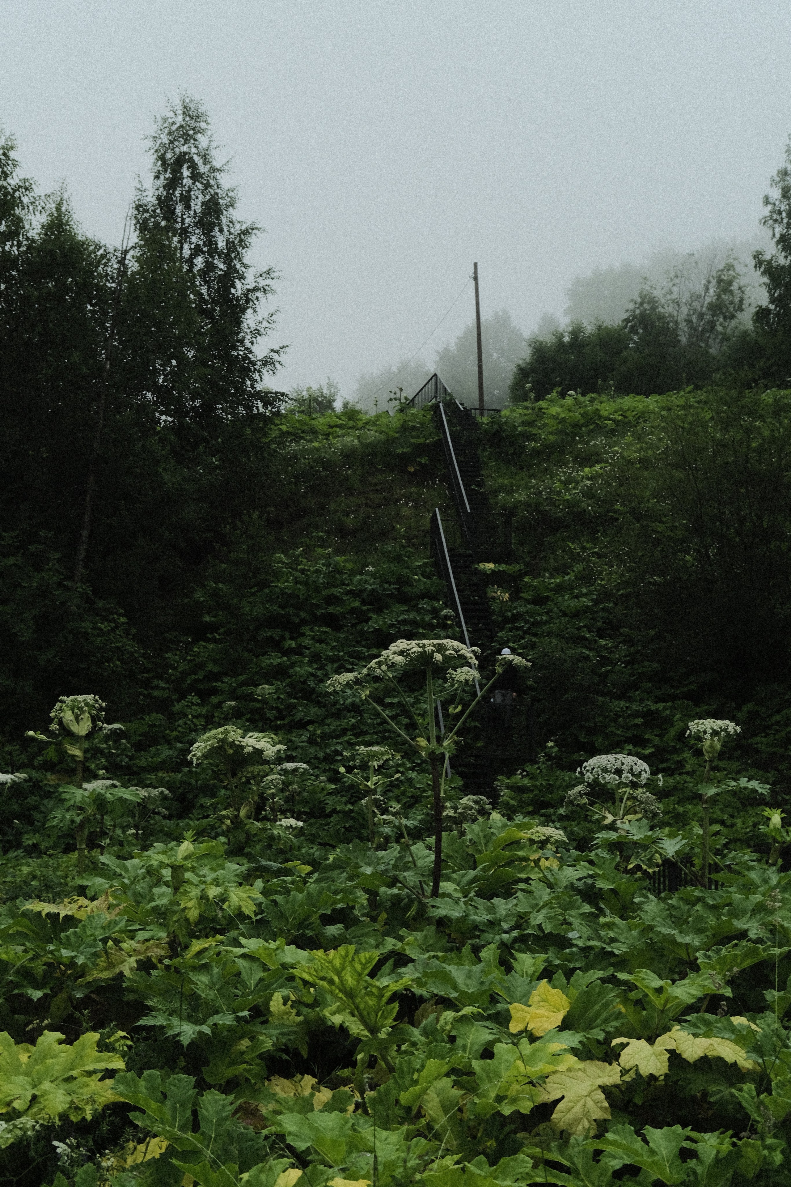 Стрит-фотография Сыктывкар. Фотограф-любитель из Кирова Андрей Погребняк