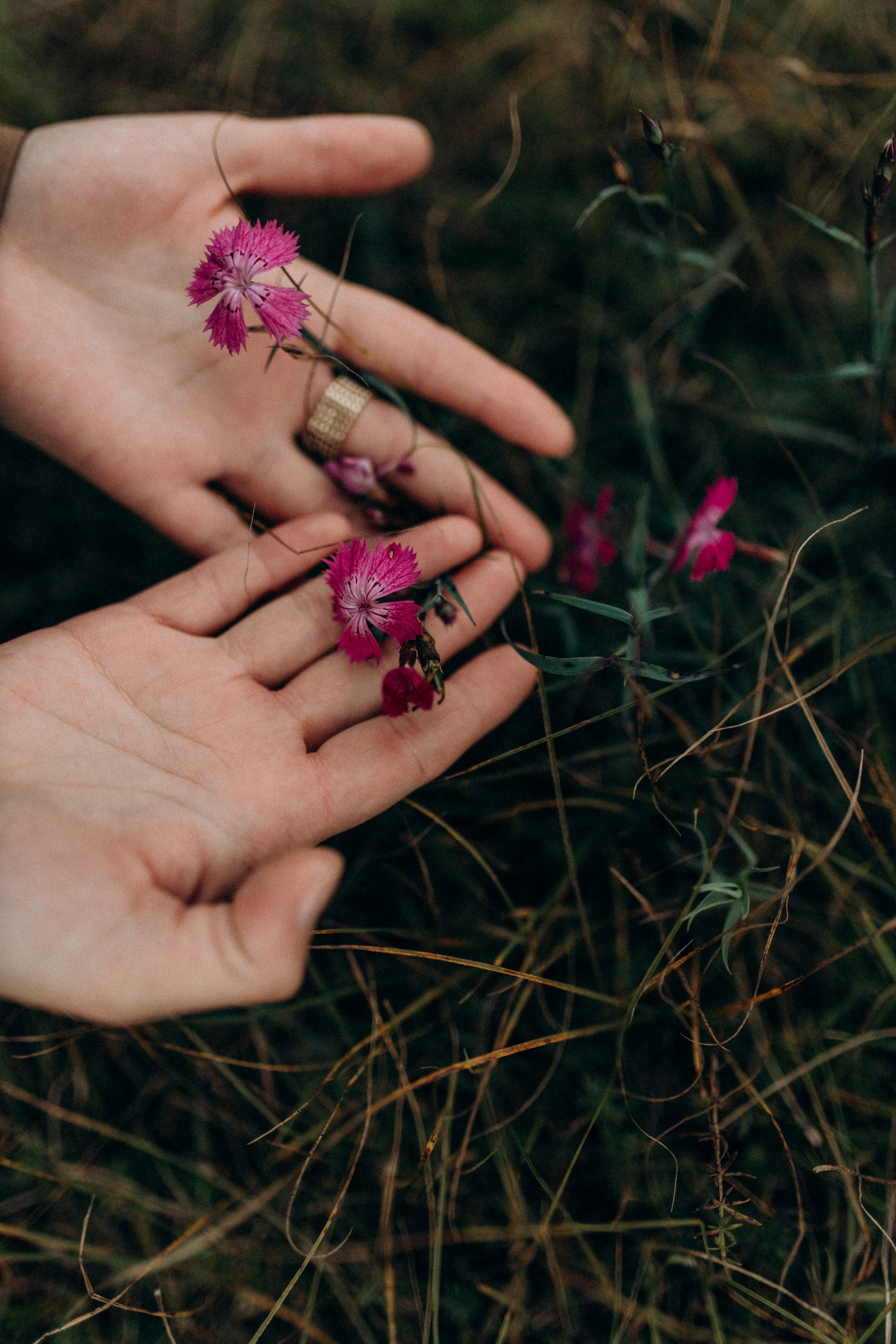 Диана. Фотограф НОГИНСК, Москва, Анастасия Белая
