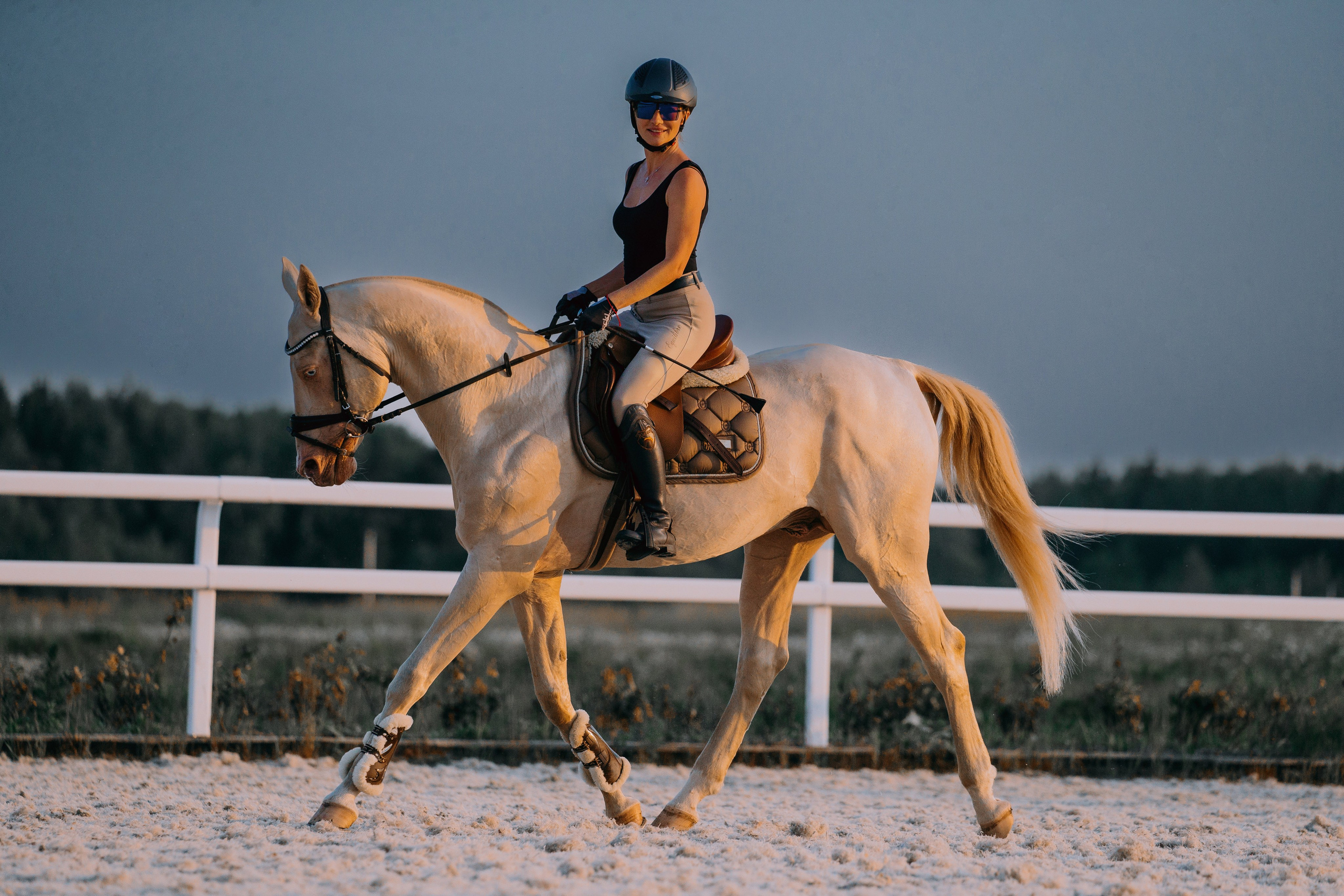Тренировки. Фотограф-анималист Ксендзова Кристина