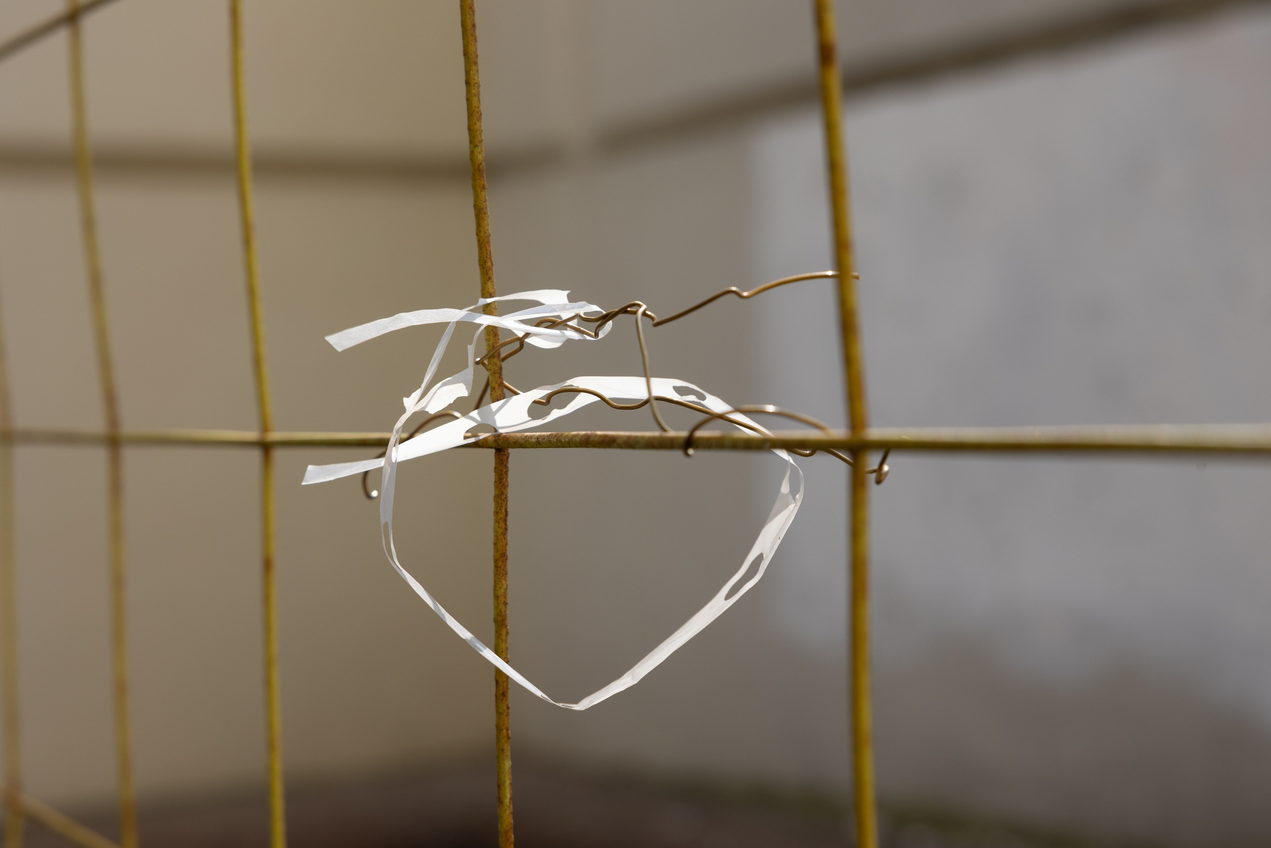 Art prints. Фотограф алина стерхова, алина стерхова фотограф, фотограф москва