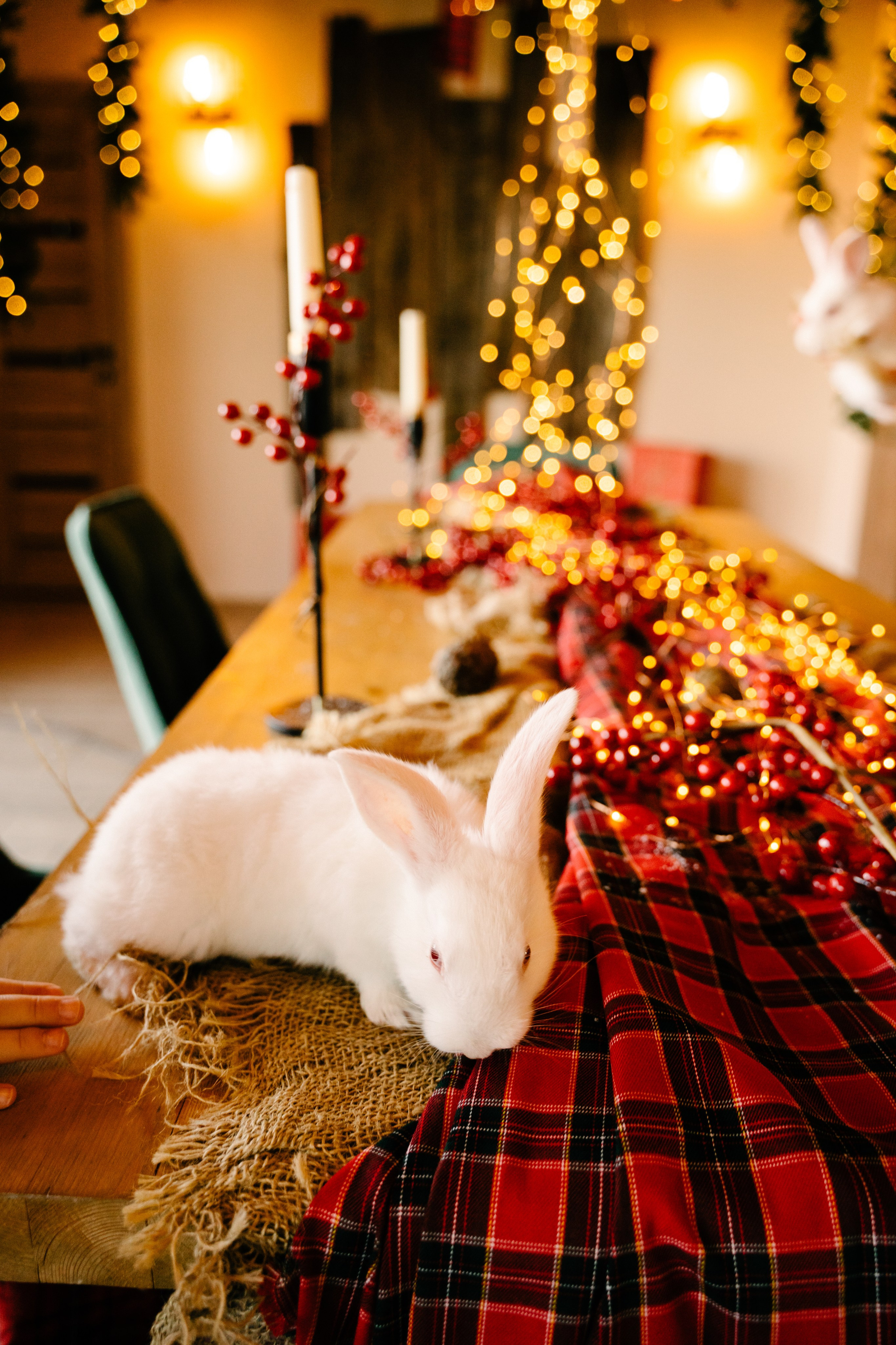 Новогодняя история. Свадебный фотограф Юлия Копылова