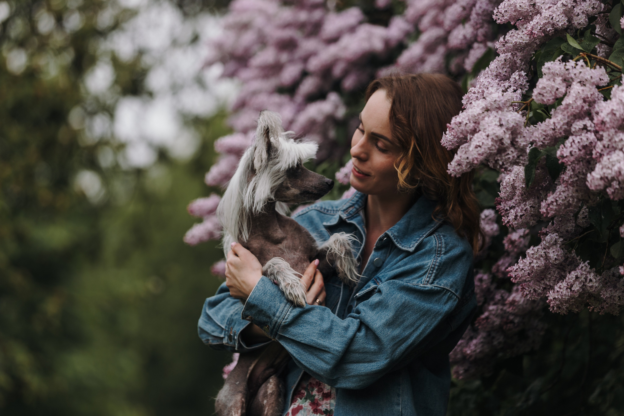 Фотограф анималист Кристина Карпова, Москва