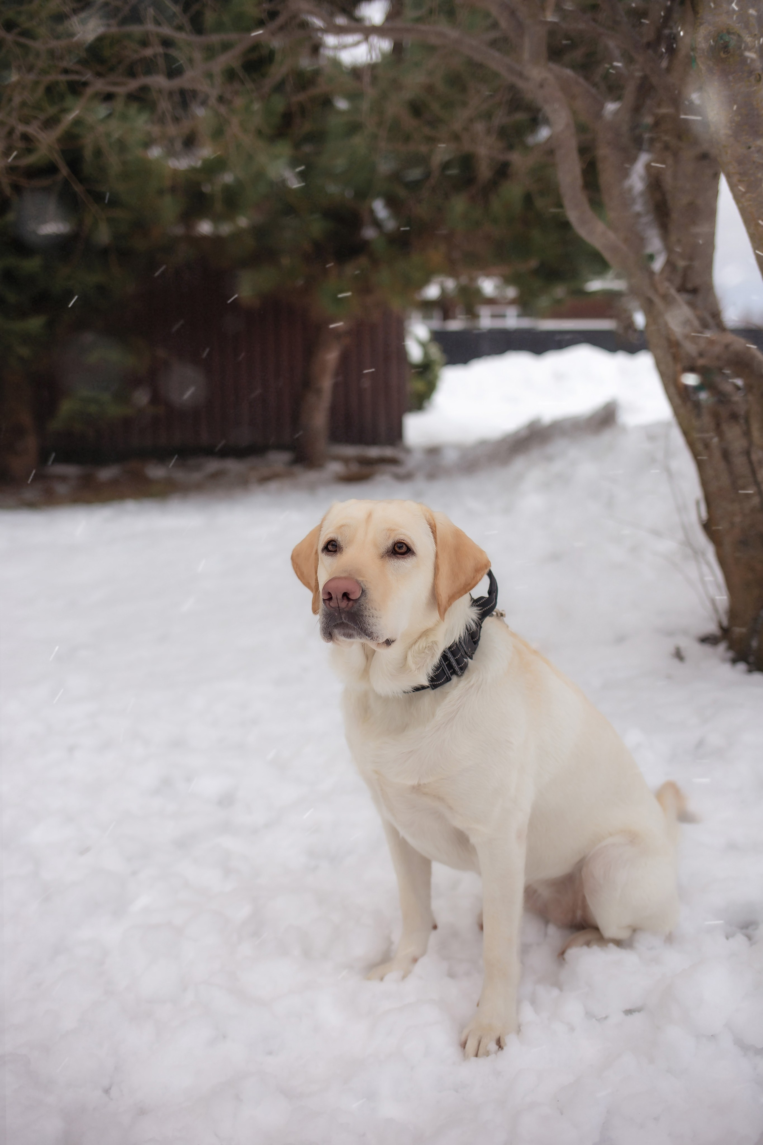 Луна и Катя. Фотограф в Калининграде Решетникова Алина