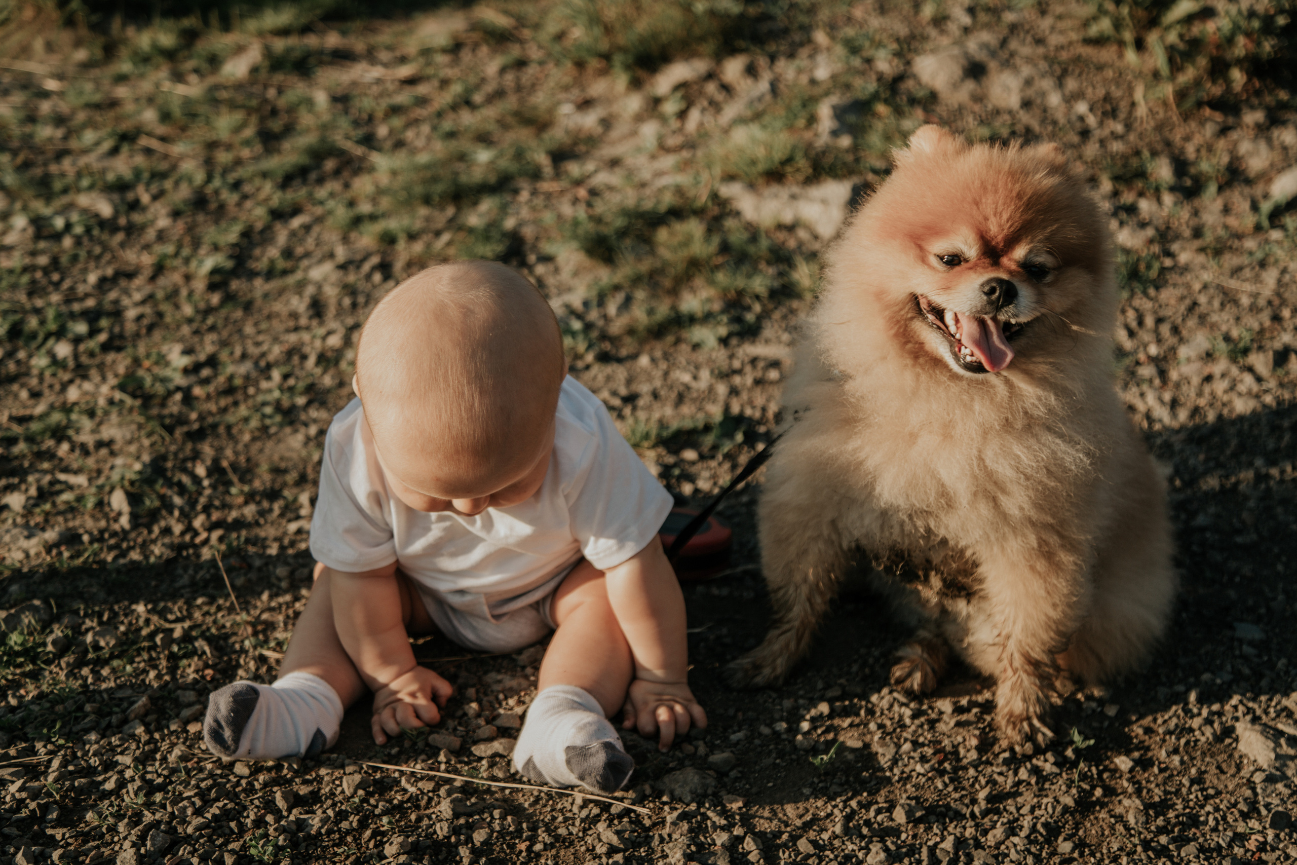 Алина, Павел, Лизонька, Илюша и Пуфик. Фотограф в Киселёвске Татьяна Трухалева