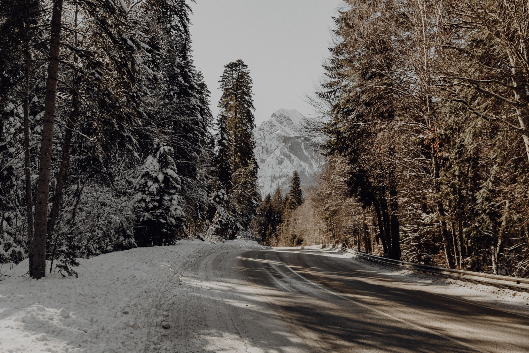 Карина. Портфолио