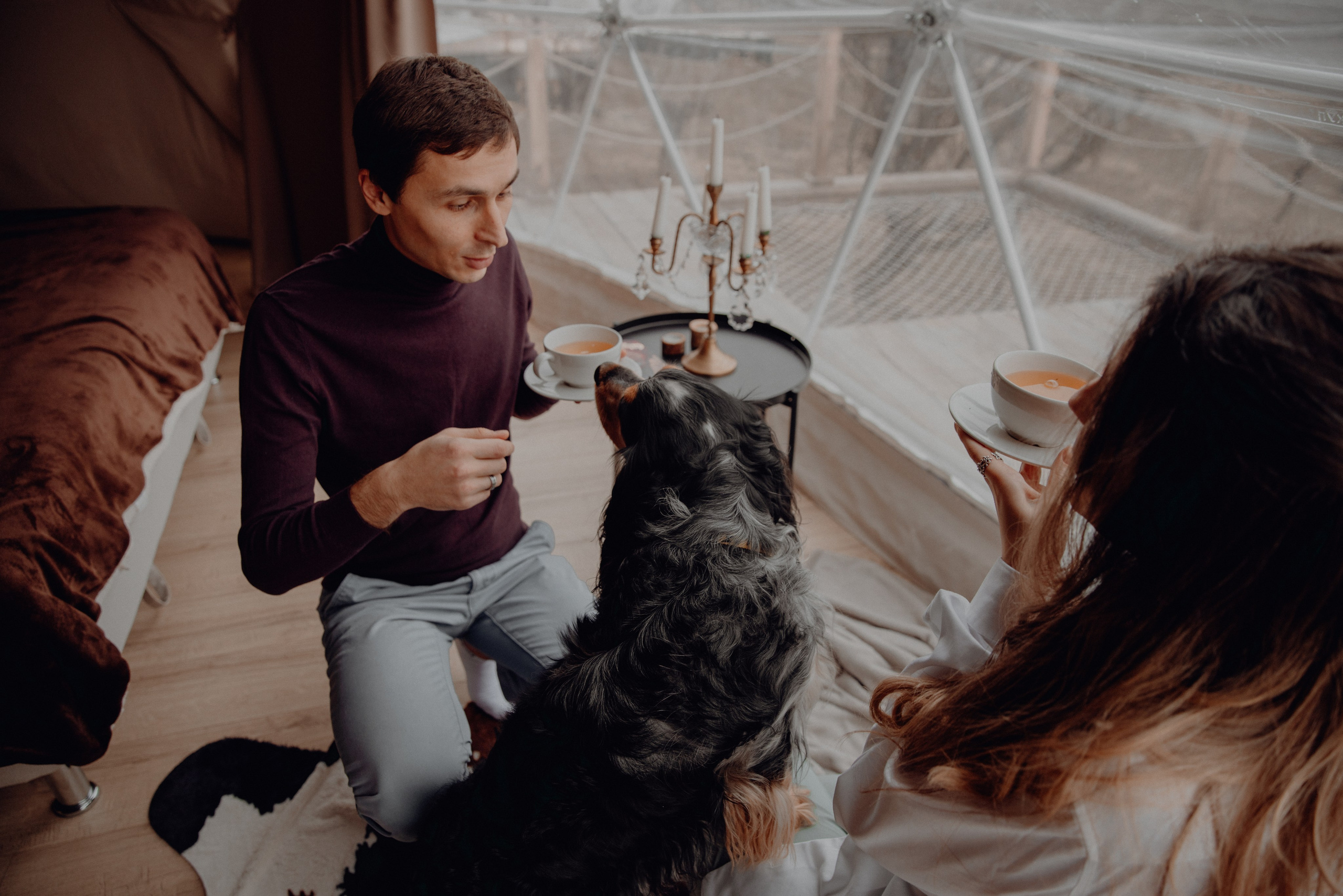 Ася ღ Заур. Портфолио