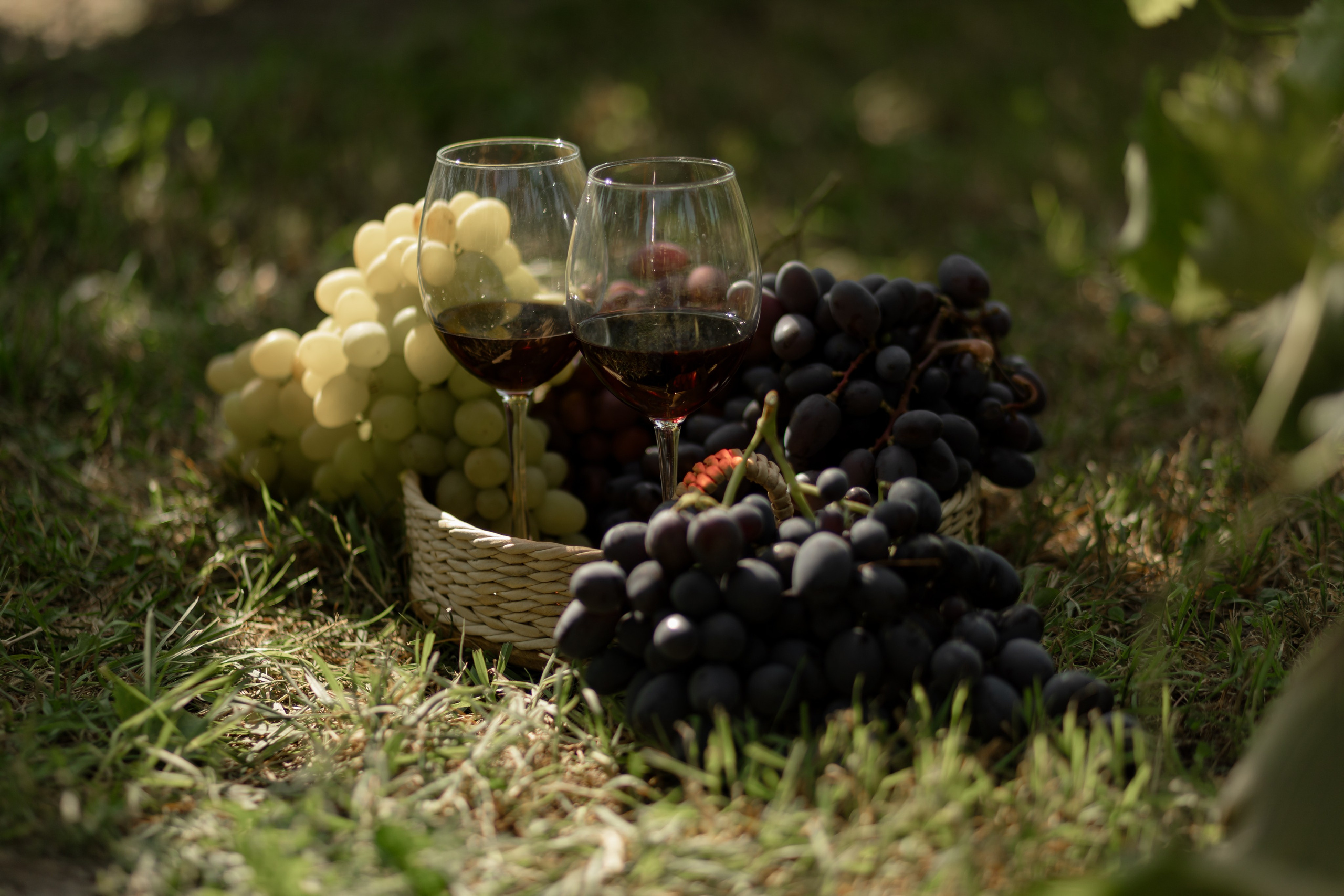 Виноградники. Dima Lemeshevsky